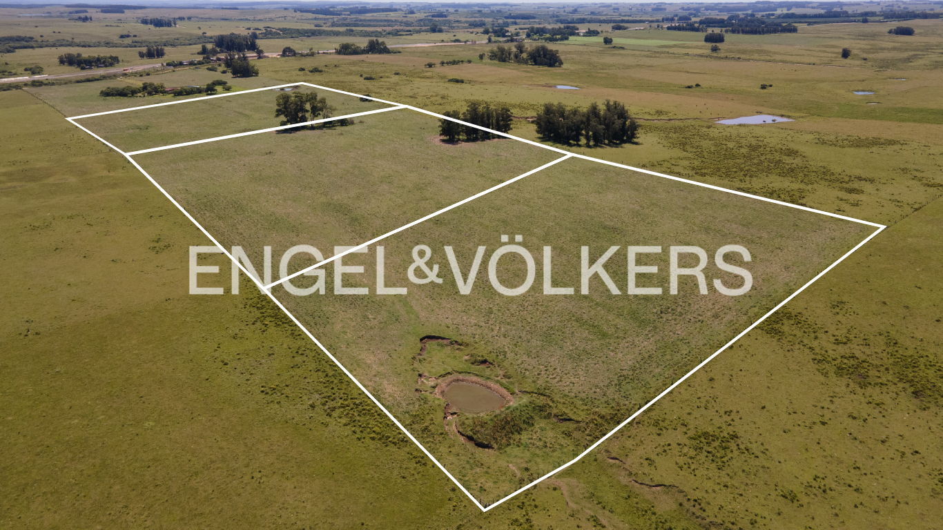 Beautiful 11ha finca just minutes away from José Ignacio