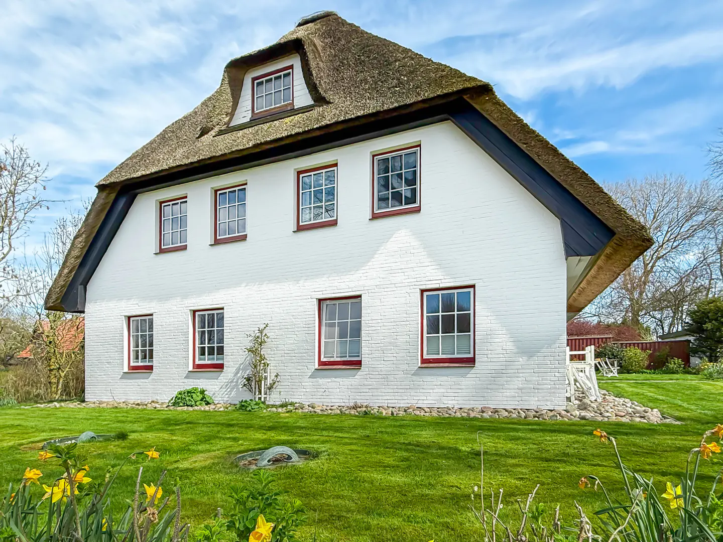 White brick house with a thatched roof and red-framed windows, surrounded by a green lawn and yellow daffodils.