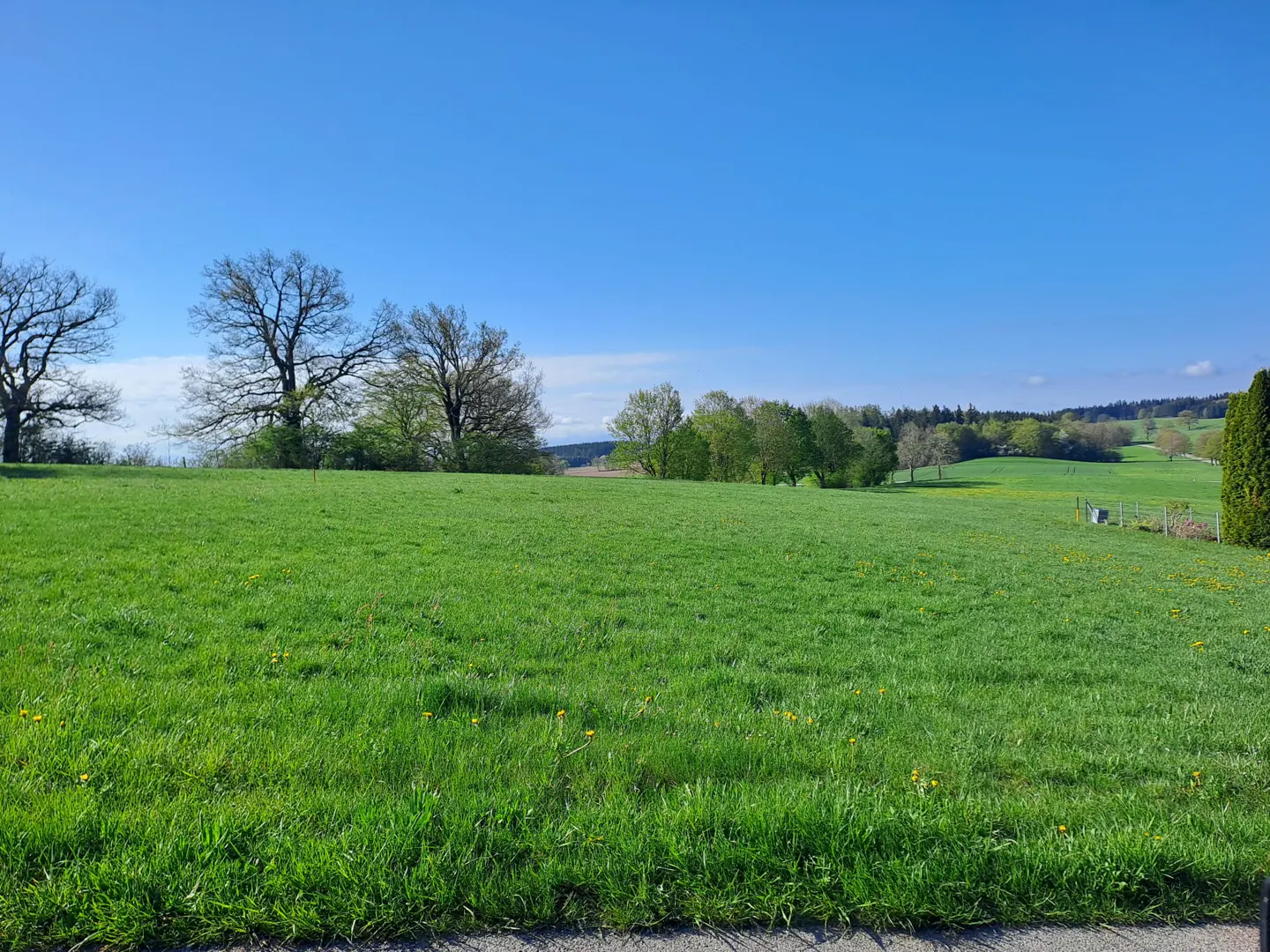 A vibrant green field under a clear blue sky, dotted with trees and distant hills.