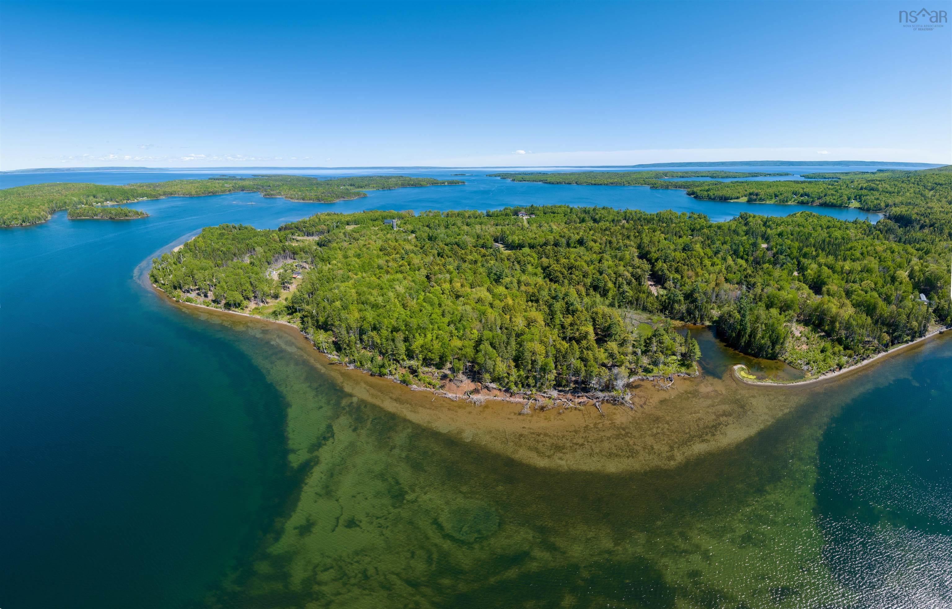 Two-and-a-half acres of charming mixed forest
