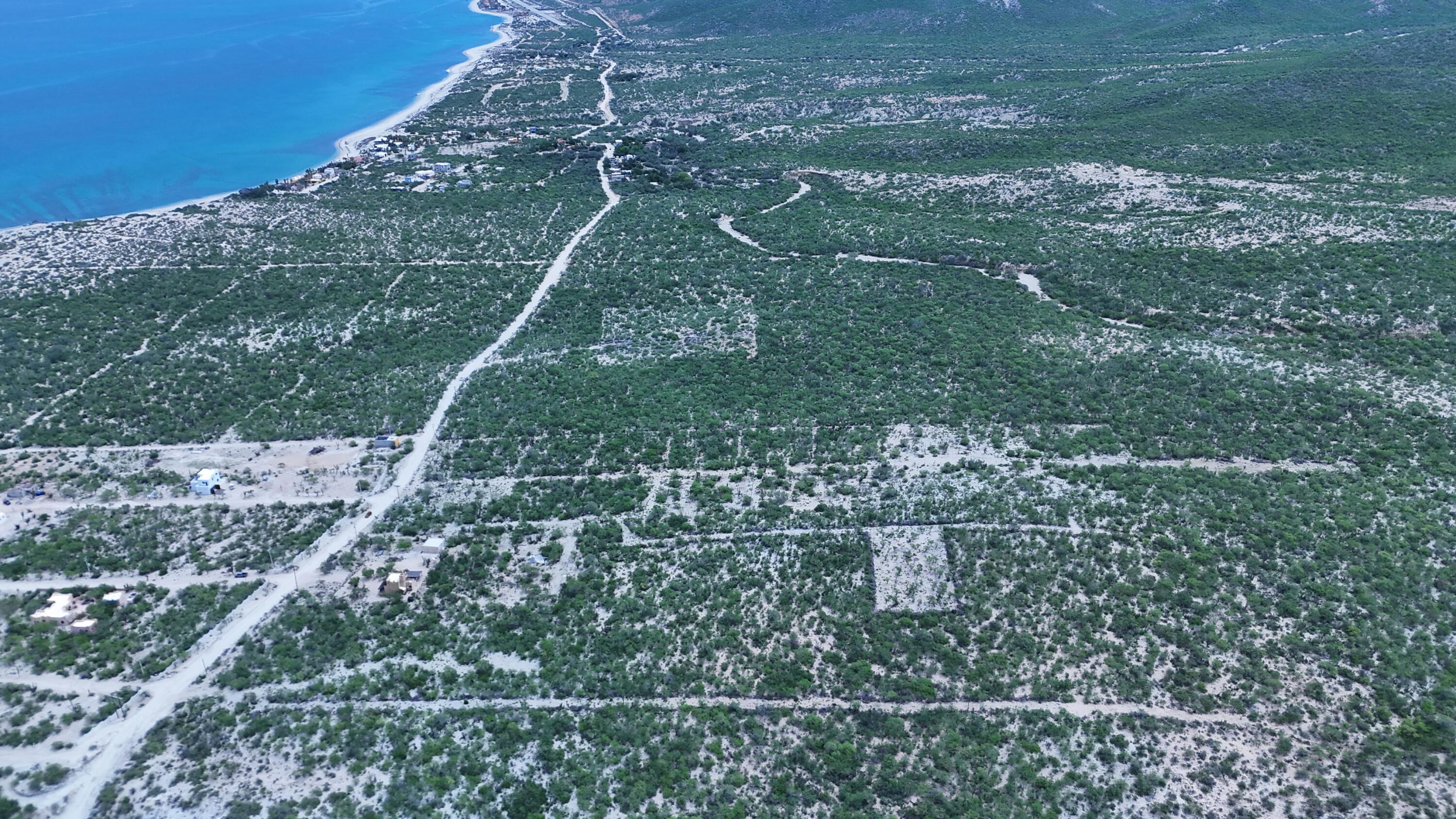 Los Algodones Acre Lots