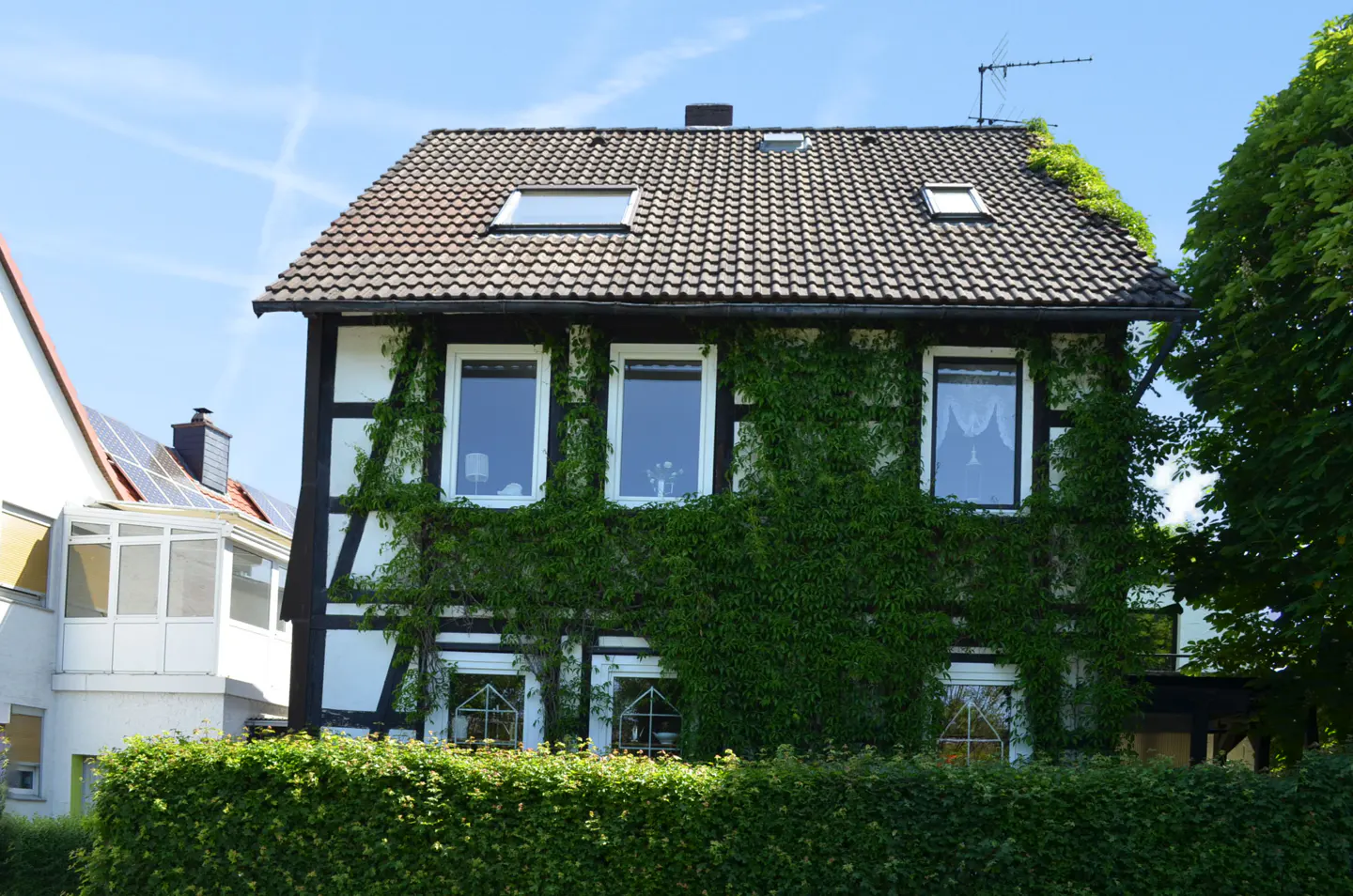 A two-story half-timbered house with ivy climbing the facade, a tiled roof with skylights, and a green hedge in front.