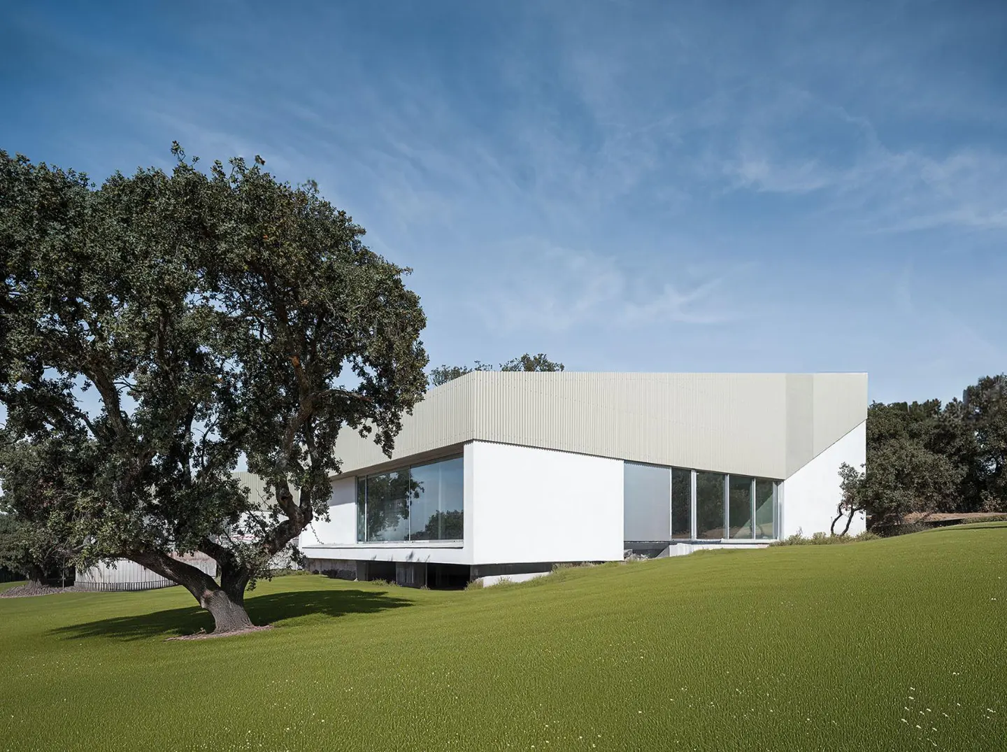 Modern white and beige house with large windows on a green lawn, next to a large tree under a blue sky.