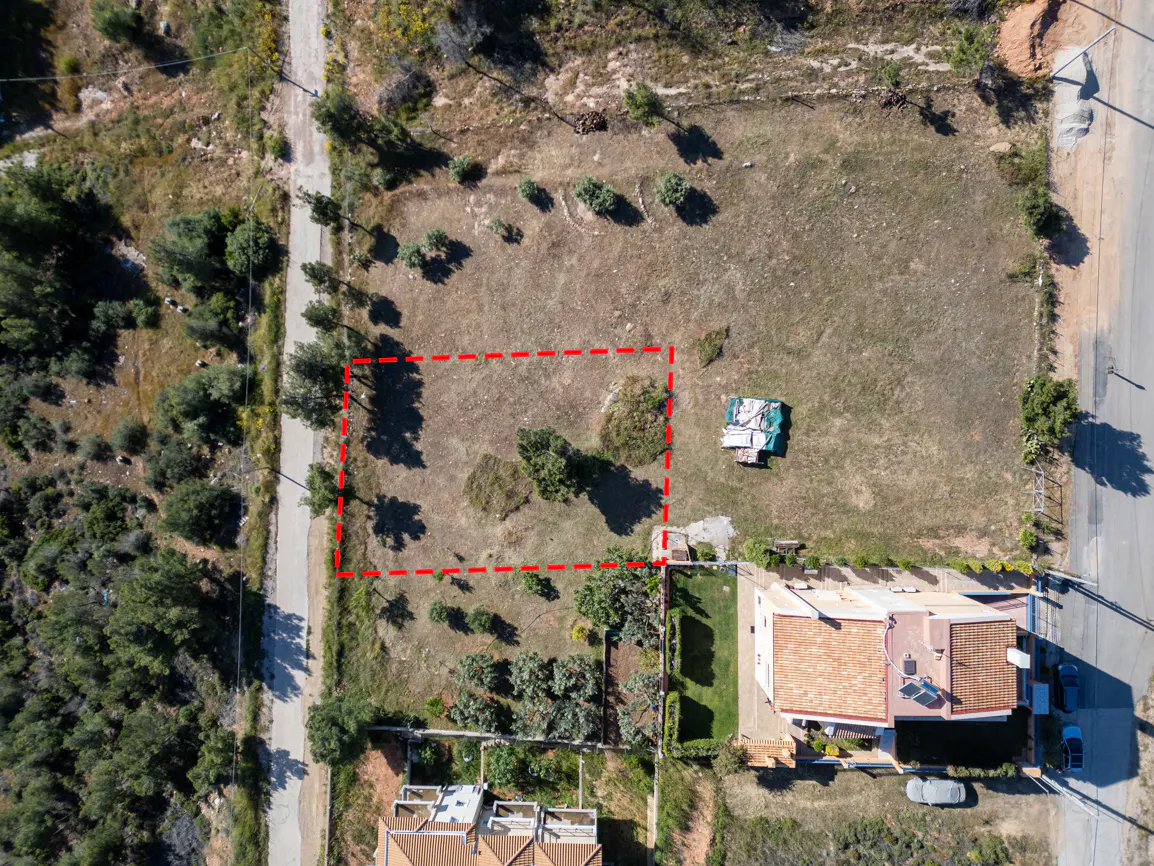 Aerial view of a vacant lot outlined in red, surrounded by trees and houses. The lot has sparse vegetation and some debris.