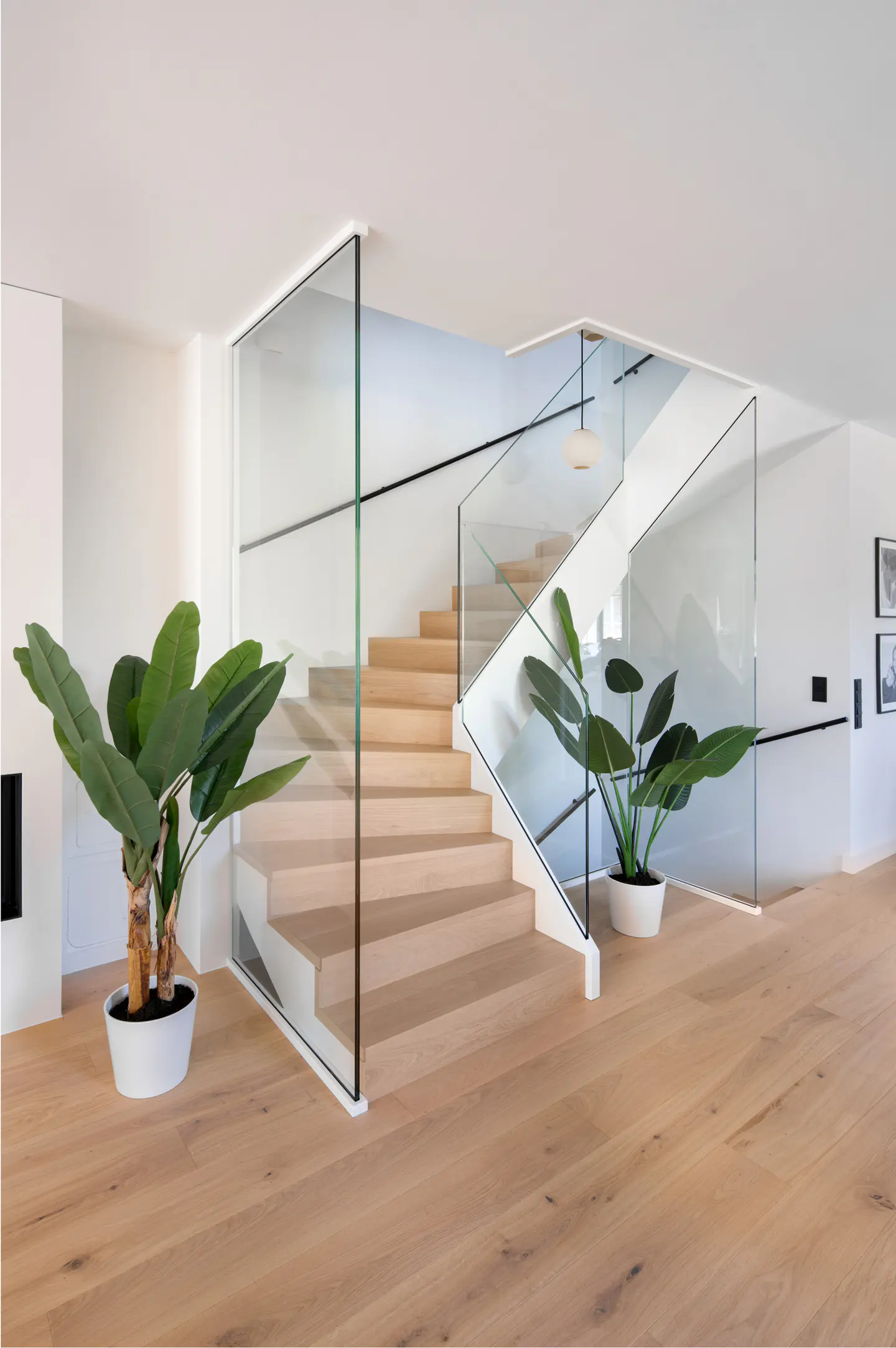 Bright, modern interior with light wood floors and stairs. Glass railings line the staircase. Large green plants in white pots add a touch of nature.