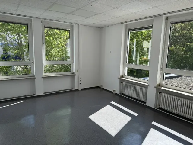 Empty room with gray floor, white walls, and three windows showing trees outside. Radiators are under the windows. Sunlight shines on the floor.
