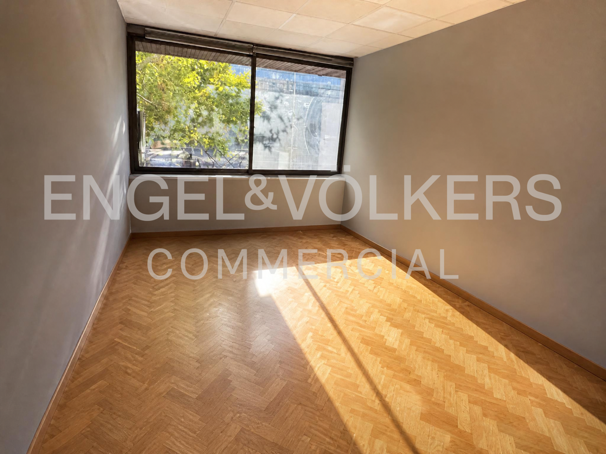 Paseo Castellana 179 - 15 y 18m2