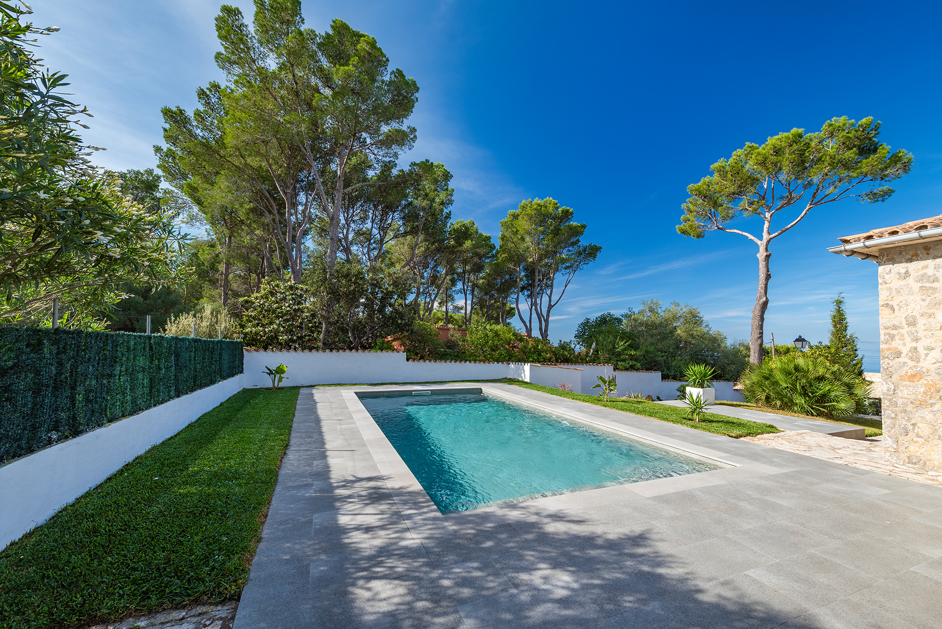 Rectangular swimming pool with turquoise water, surrounded by a stone patio, green lawn, and tall trees under a blue sky. [AI-generated text]