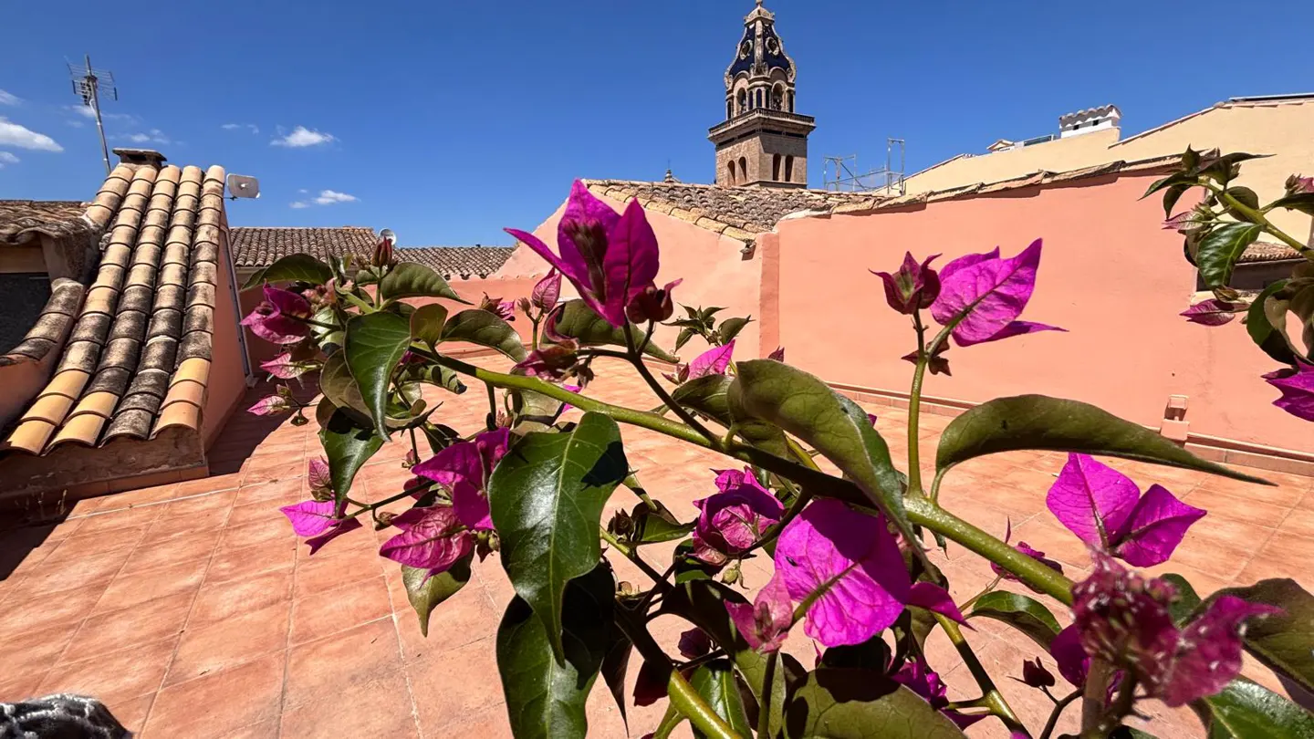 Rooftop view with pink bougainvillea, terracotta tiles, and a distant church tower under a clear blue sky.
