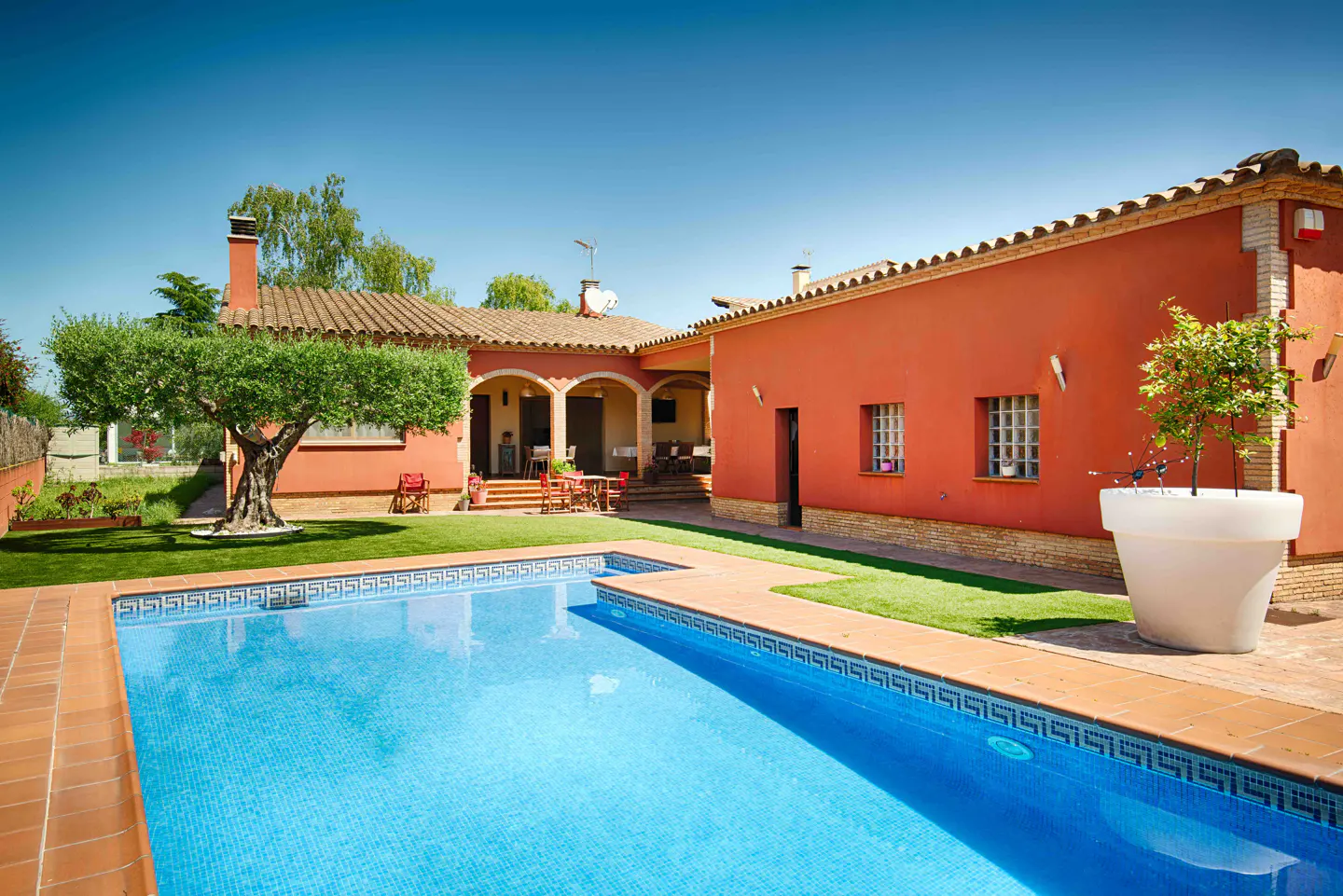 A bright blue swimming pool sits in front of a terracotta-colored house with a patio, green lawn, and an olive tree.