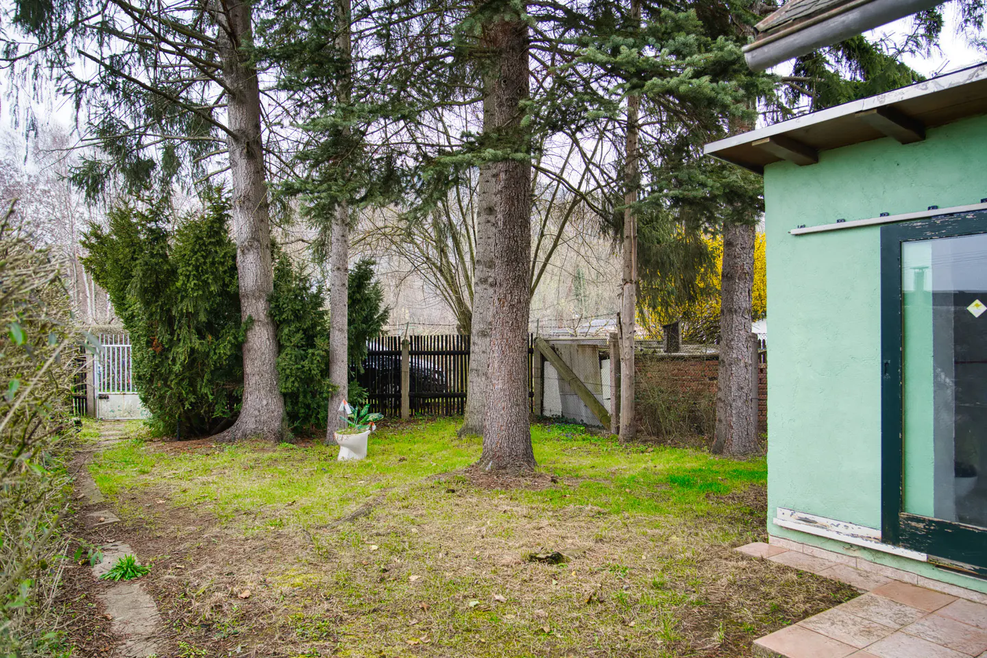 A view of a backyard with tall trees, green grass, and a light green building on the right.
