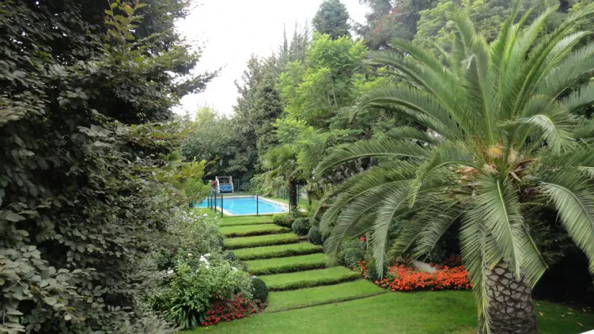 Lush green garden with grass steps leading to a blue swimming pool, surrounded by trees and a palm tree.