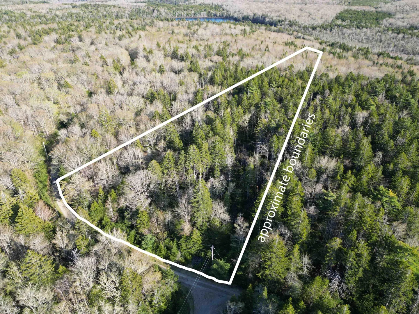 3.7 Acre Treed Lot, The Possibilities are Endless.