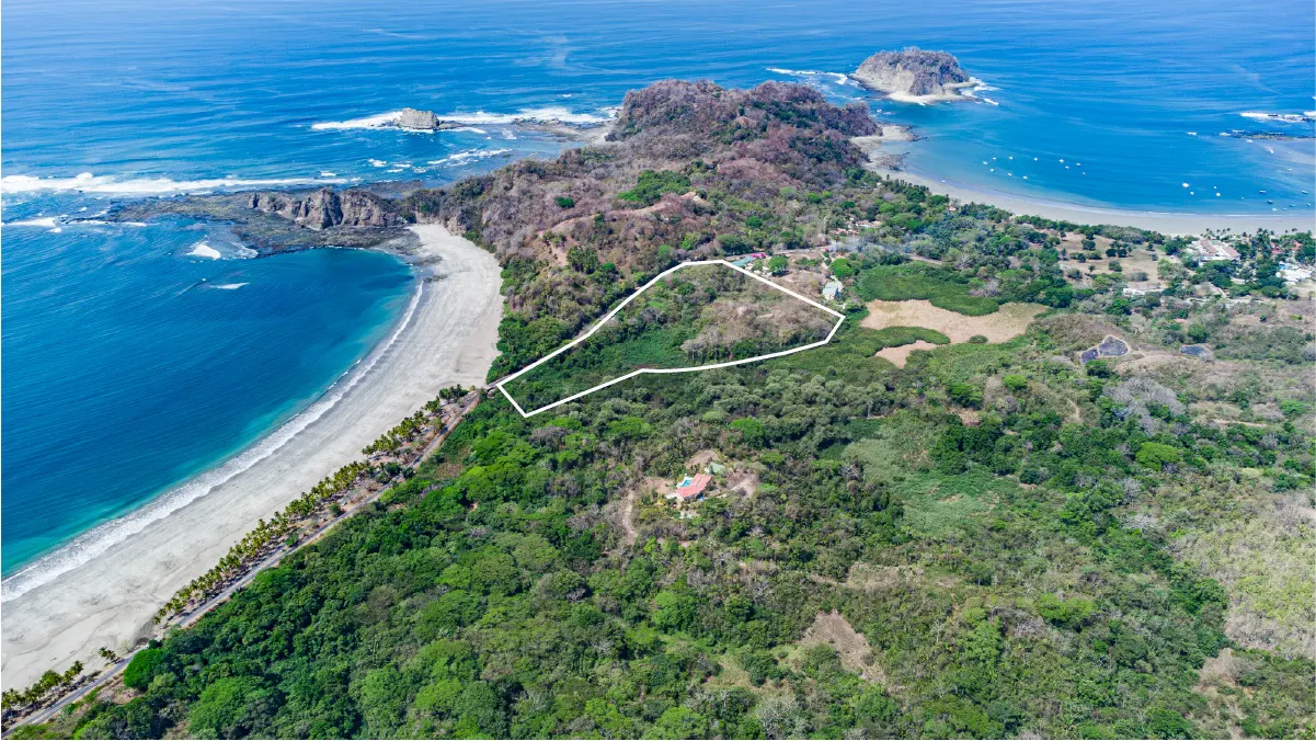 Aerial view of a beachfront property outlined in white, with lush green trees, a sandy beach, and blue ocean water.