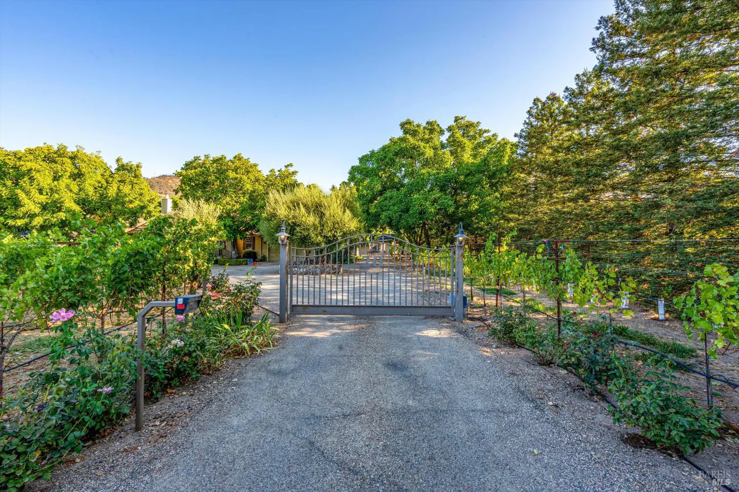 Gated driveway leading to a home. Lush green trees and plants surround the property. Blue sky above.