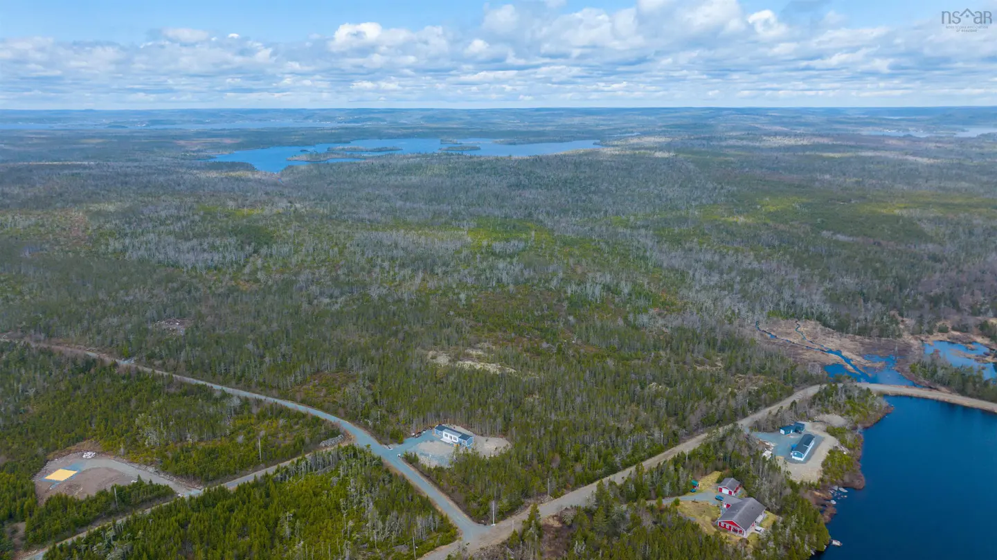 Aerial view of a wooded area with a lake, roads, and houses under a cloudy sky.