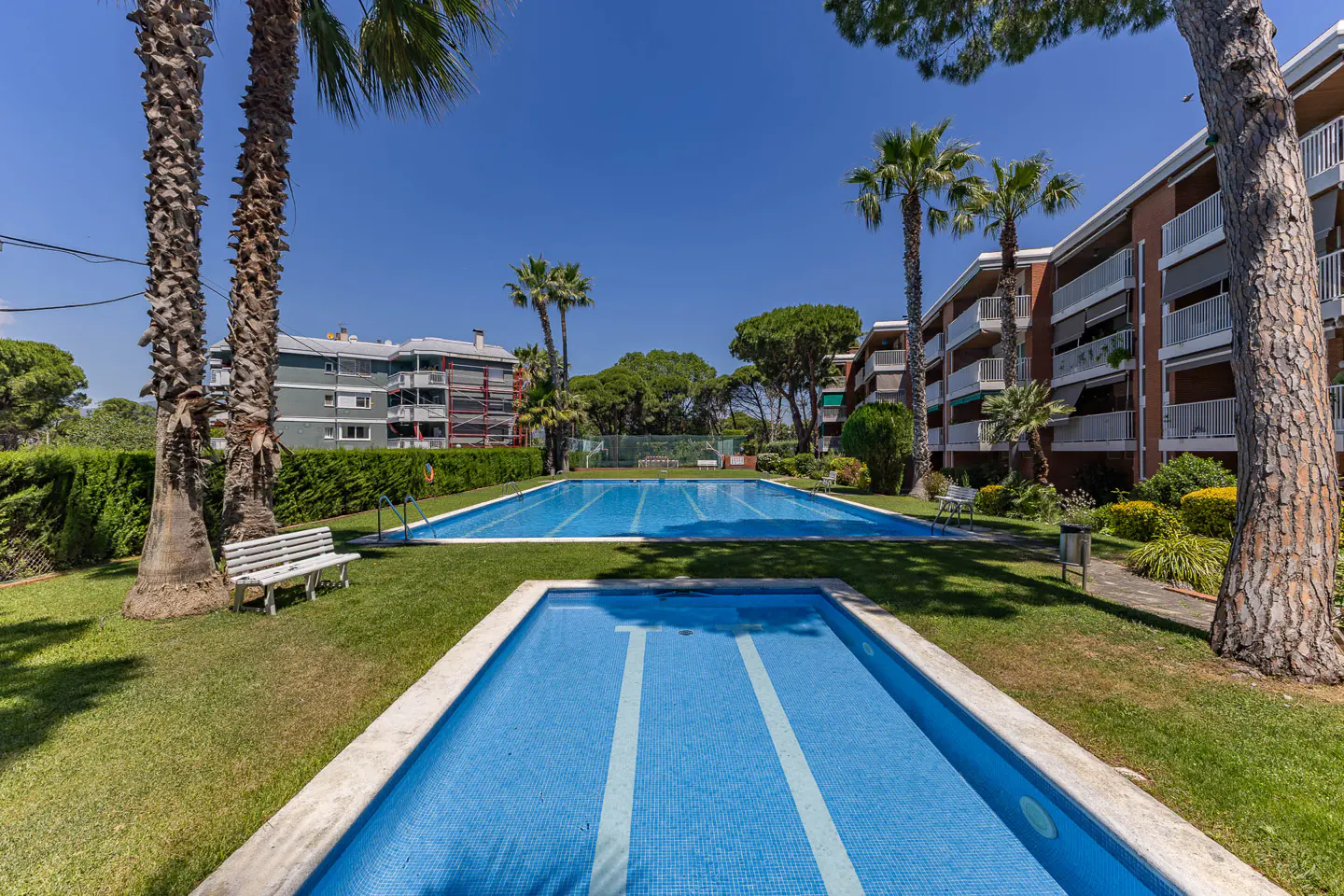 Two rectangular swimming pools surrounded by green grass, palm trees, and multi-story apartment buildings under a blue sky.