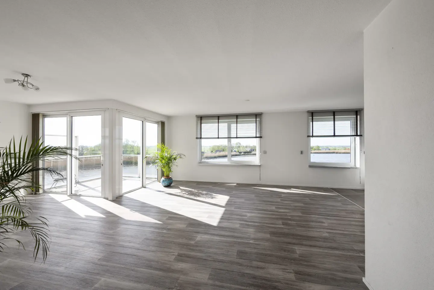 Bright, empty living room with gray wood floors, white walls, and large windows with blinds. A potted plant sits near sliding glass doors to a balcony.