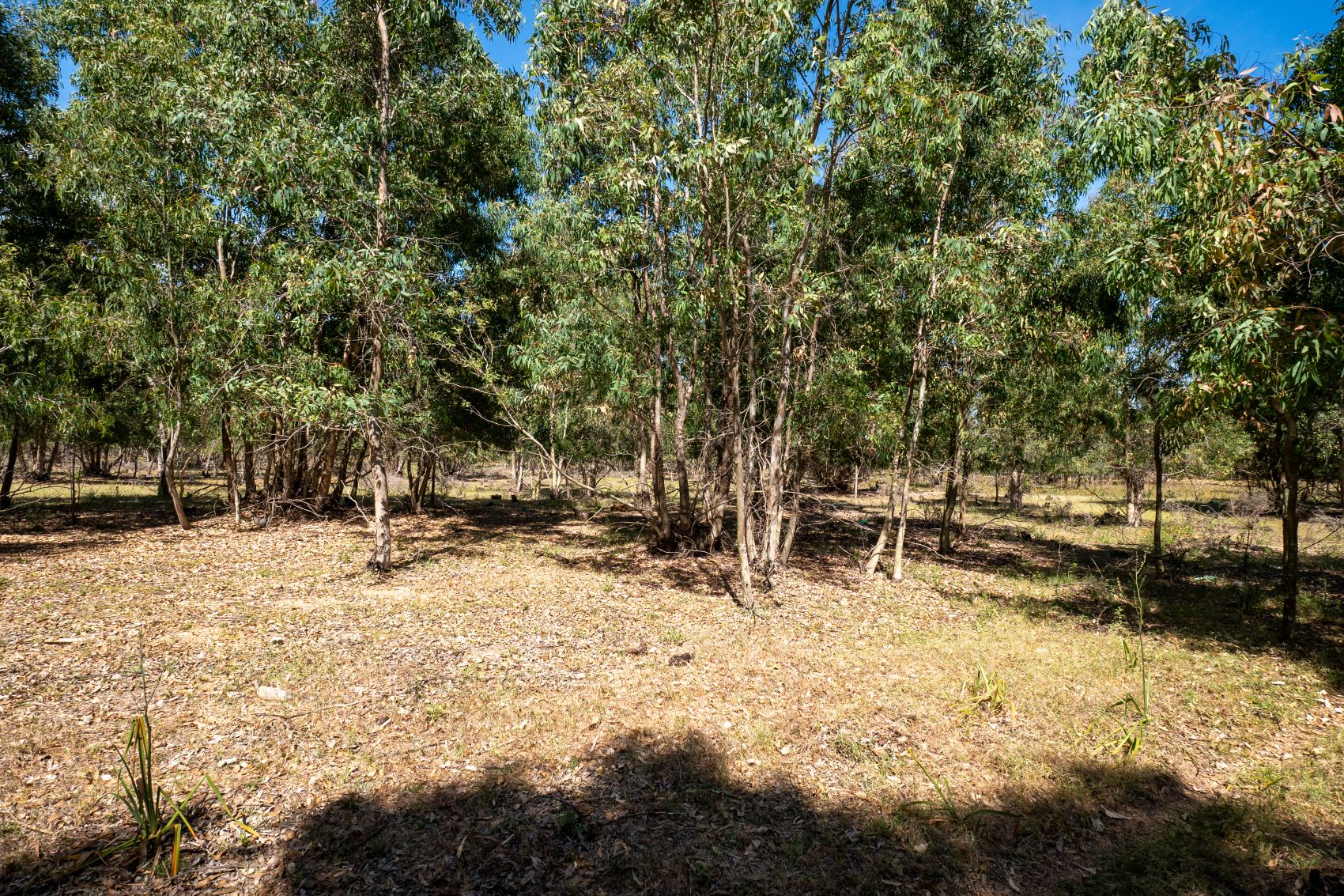Investment Opportunity: Strategic Developable Land in La Línea de la Concepción