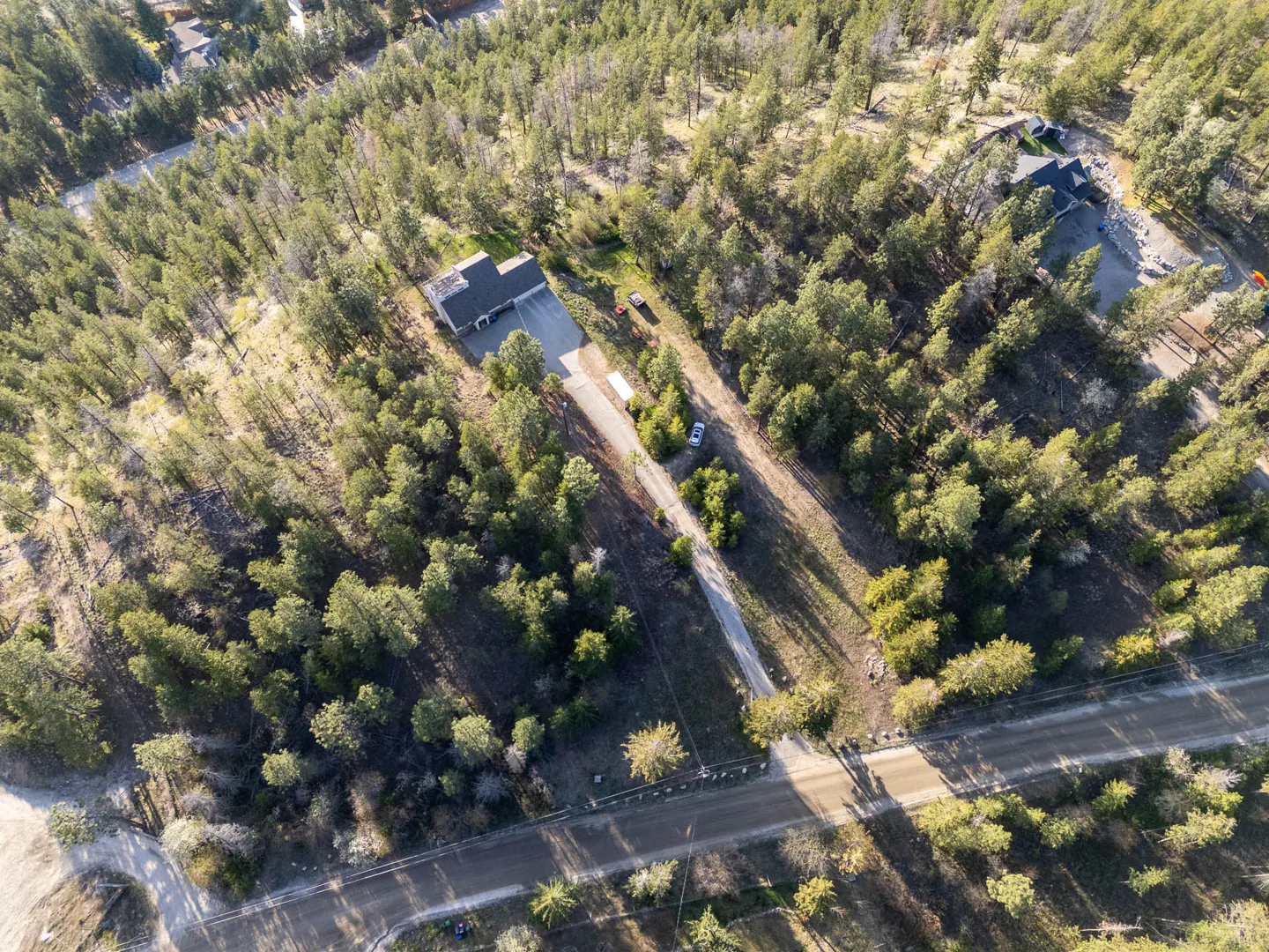 Aerial view of a gray house with a driveway, surrounded by green trees and a dirt road.