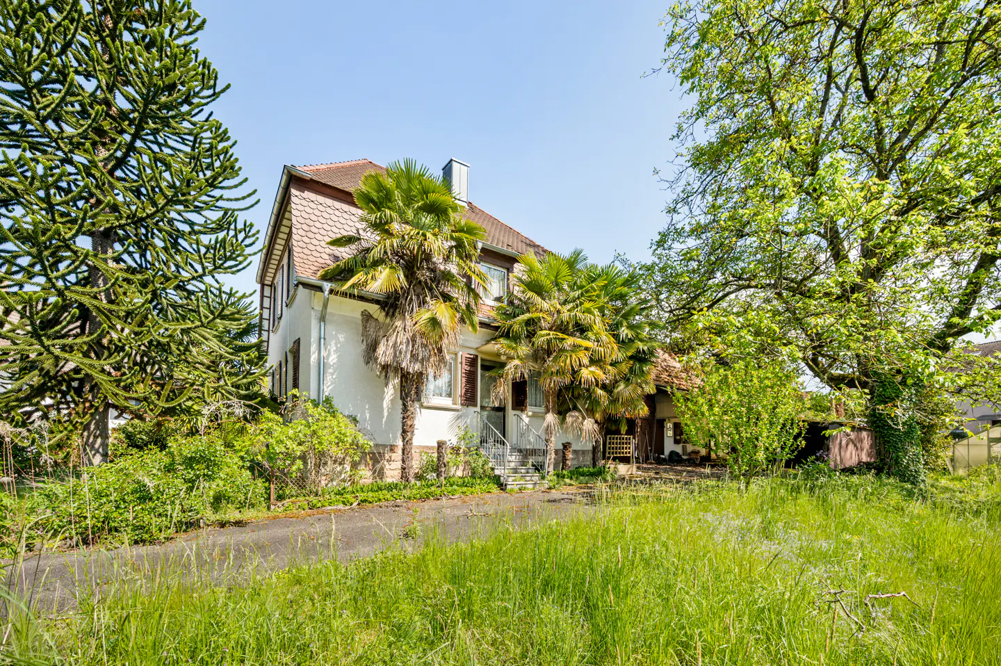 Exterior view of a two-story white house with a brown roof, surrounded by palm trees and green grass.
