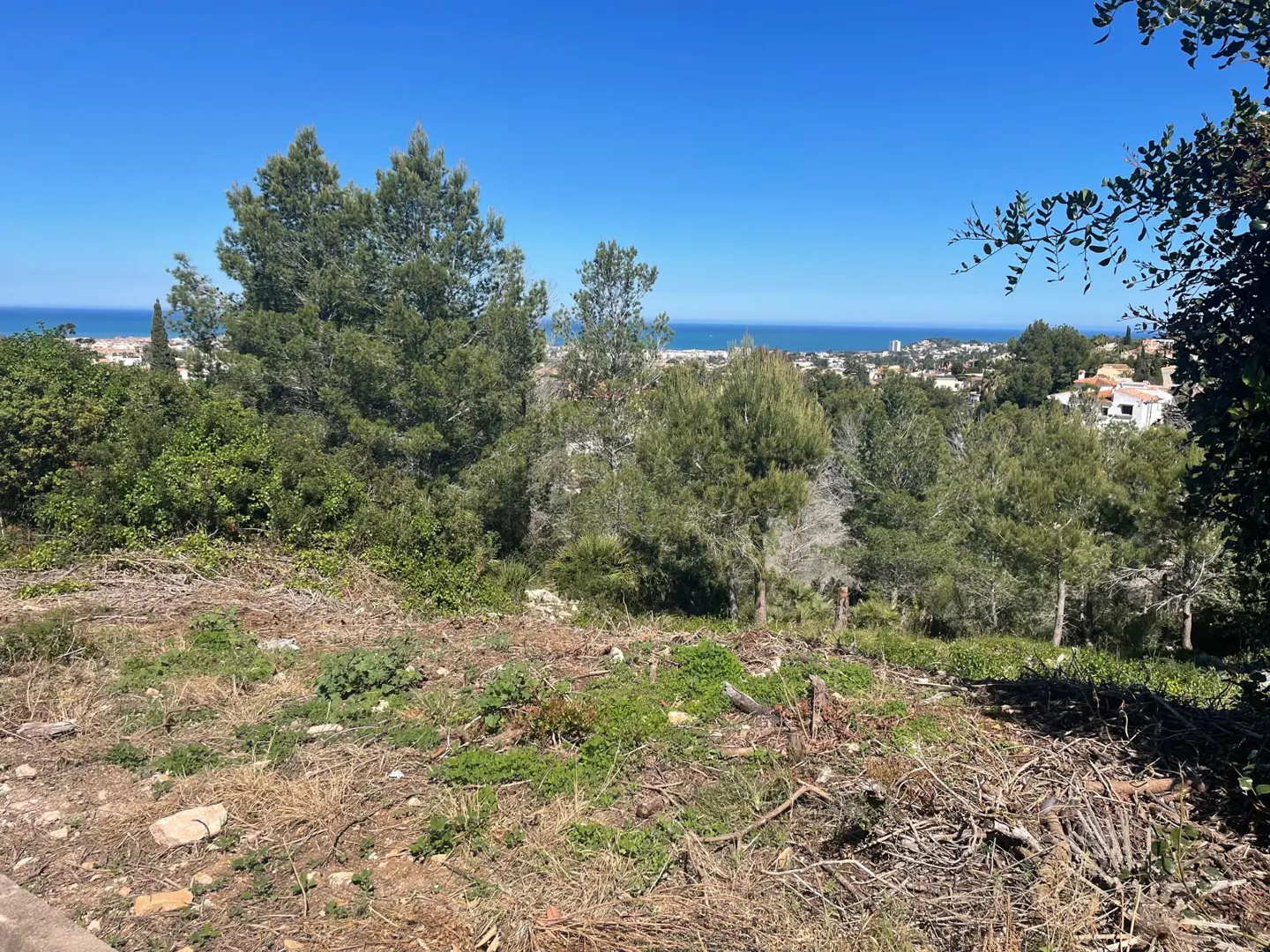 View of a vacant lot with trees overlooking the ocean and a town on a sunny day.