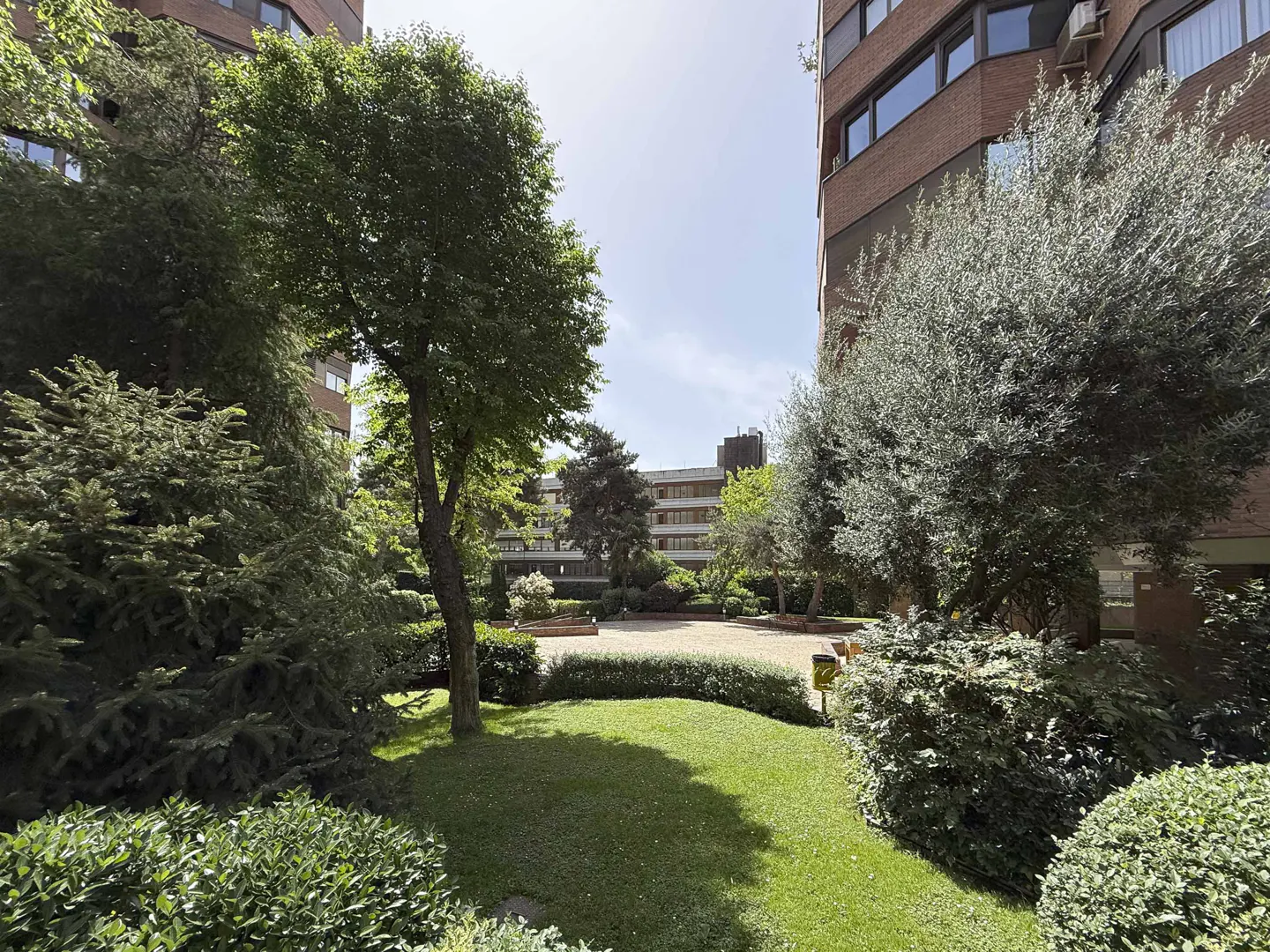 A courtyard with green grass and trees between brick apartment buildings on a sunny day.