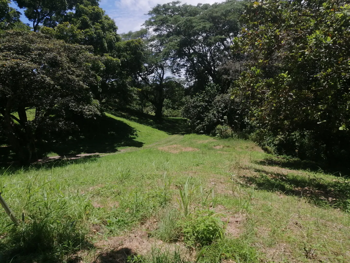 Lush green field surrounded by trees under a blue sky with white clouds.