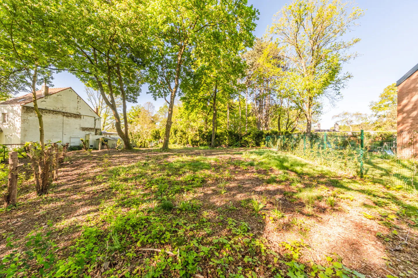 A vacant lot with green grass and trees, next to a white brick building and a red brick building.