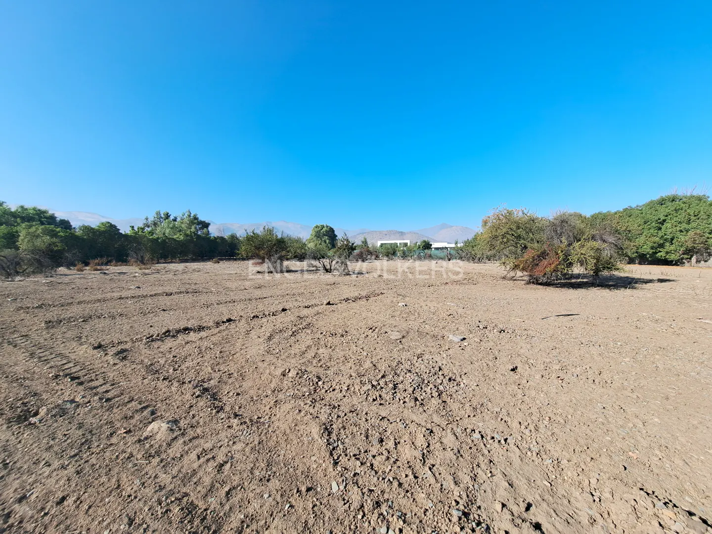 Vacant land with tire tracks, sparse trees, and mountains in the distance under a clear blue sky.