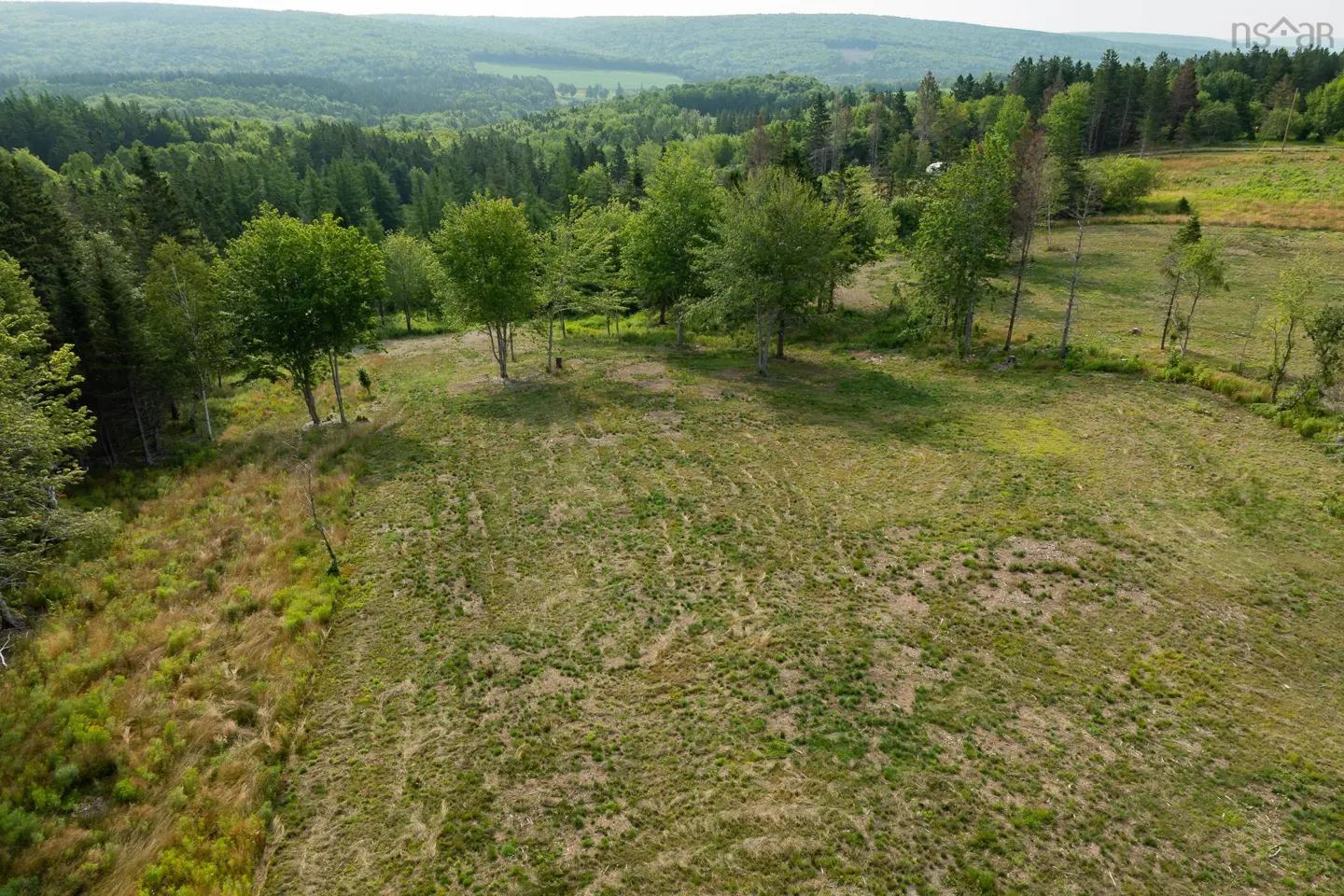 Aerial view of a grassy field with scattered trees, backed by a dense green forest and distant hills.