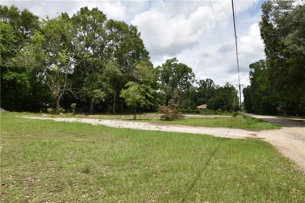 Vacant lot with green grass, trees, and a dirt road under a cloudy sky. Power lines are visible overhead.