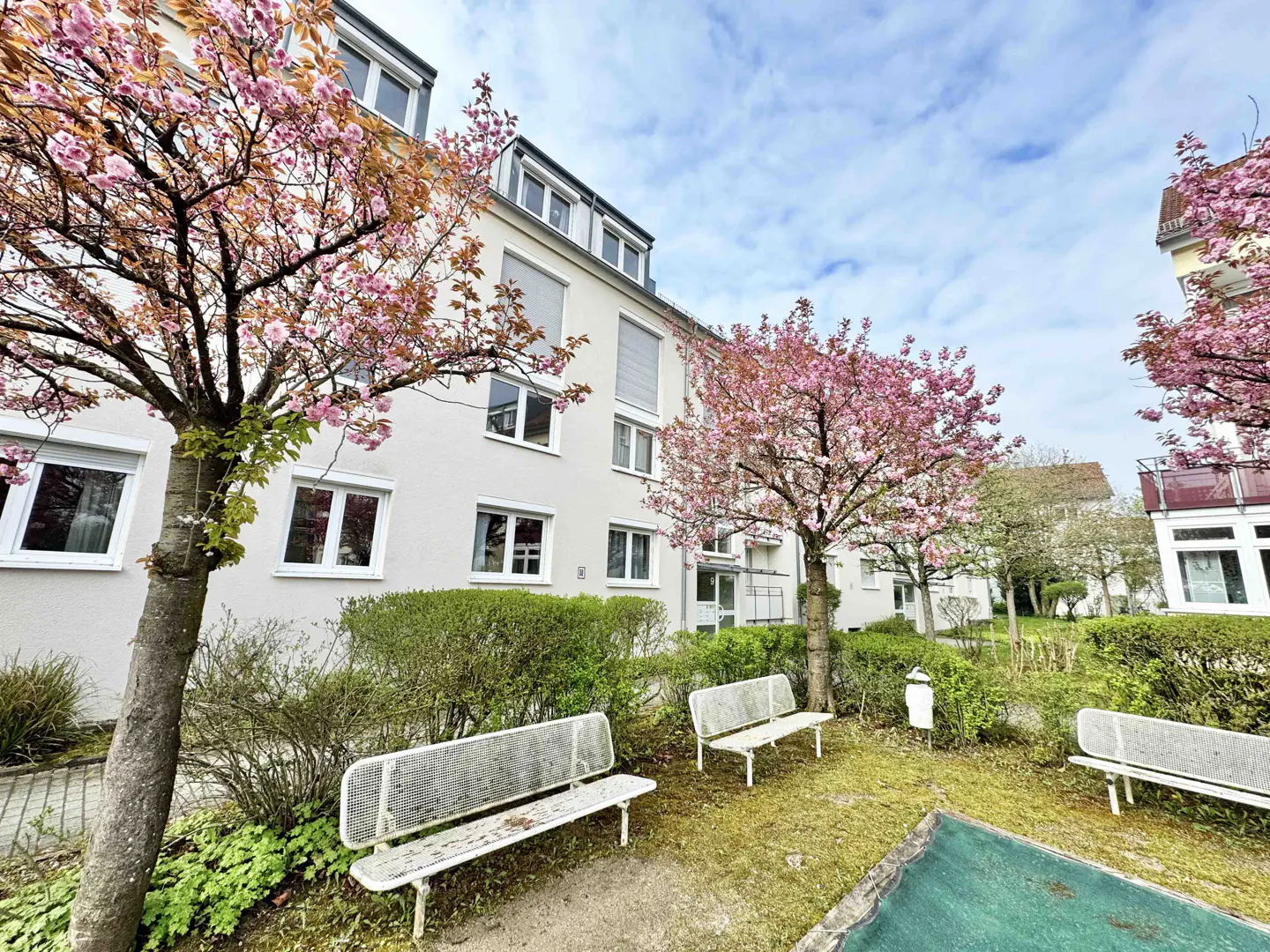 Exterior view of a white apartment building with pink cherry blossom trees and benches in the yard.