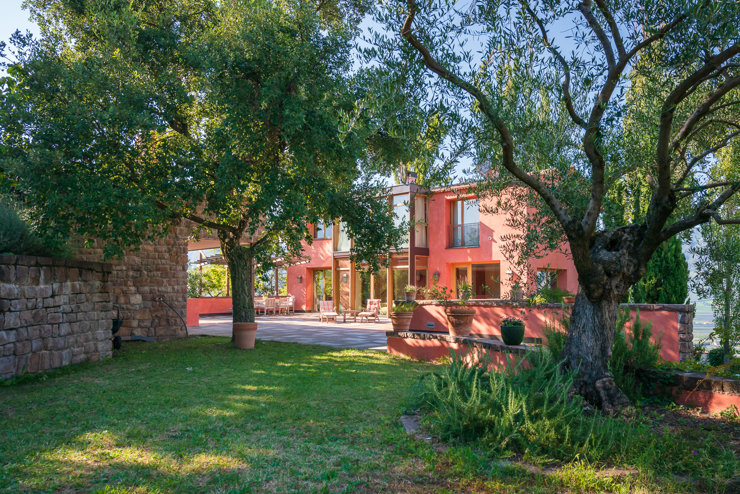 A terracotta-colored modern house with a stone wall, patio, and lush garden featuring large olive trees on a sunny day. [AI-generated text]