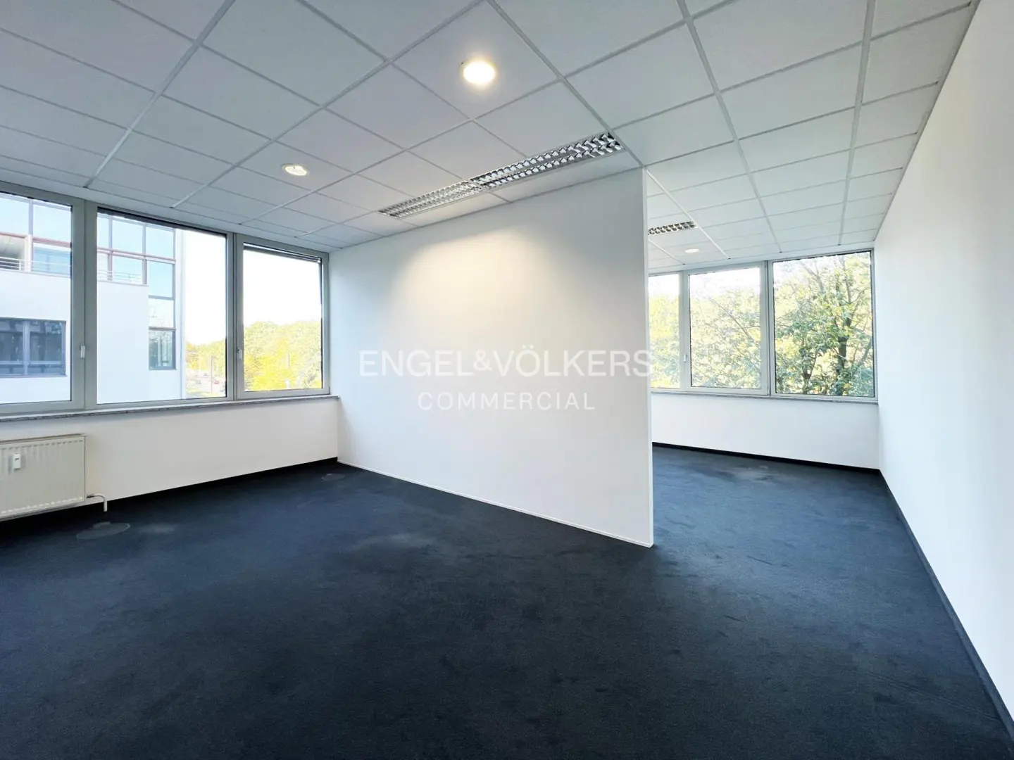 Empty office space with white walls, dark carpet, drop ceiling, and large windows overlooking trees and buildings.
