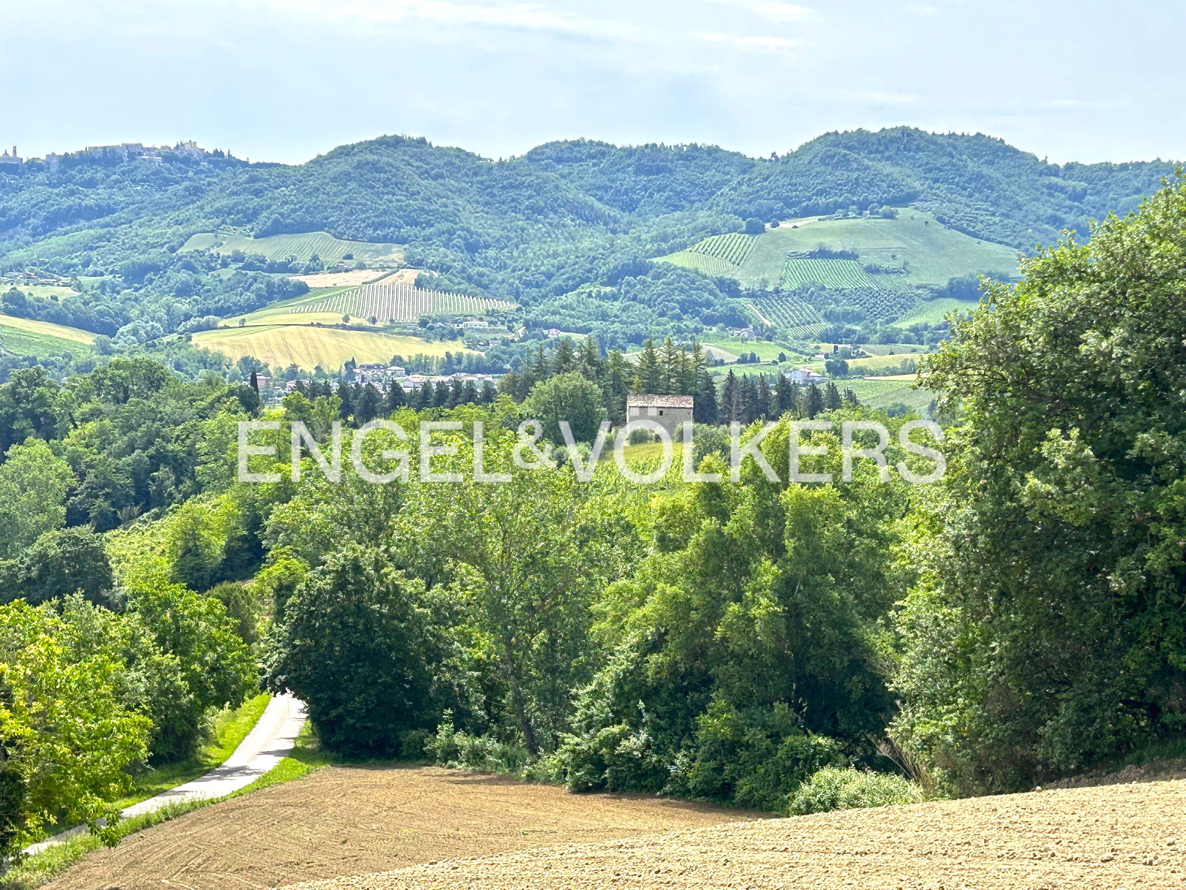 Farmland of 22 hectares with vineyards and buildings to renovate