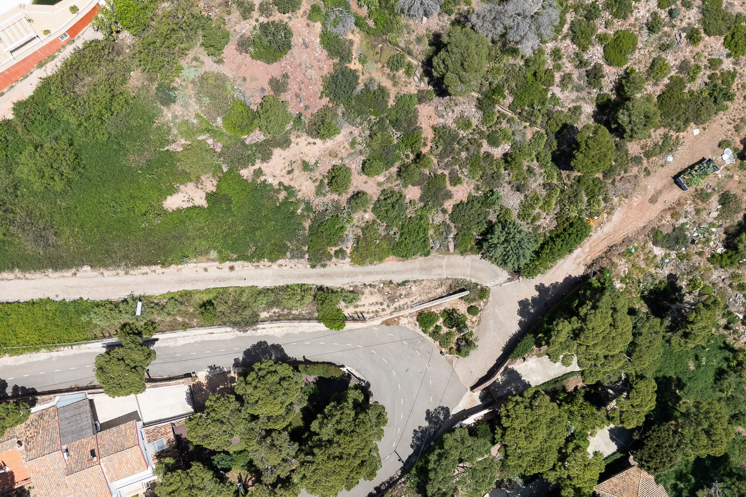 Elevated plot with prime orientation for a single-family home.