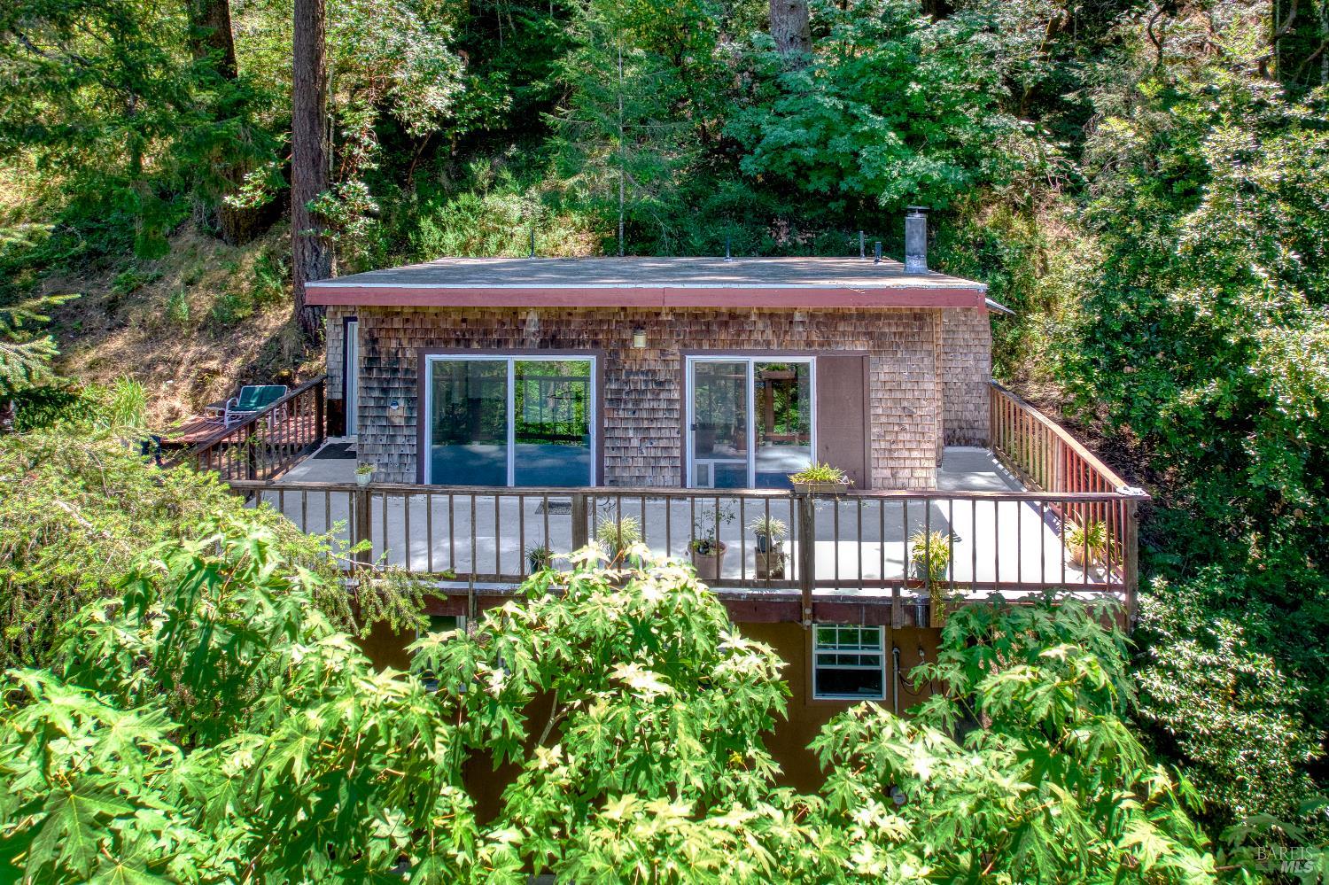 Forest tranquility meets an active lifestyle