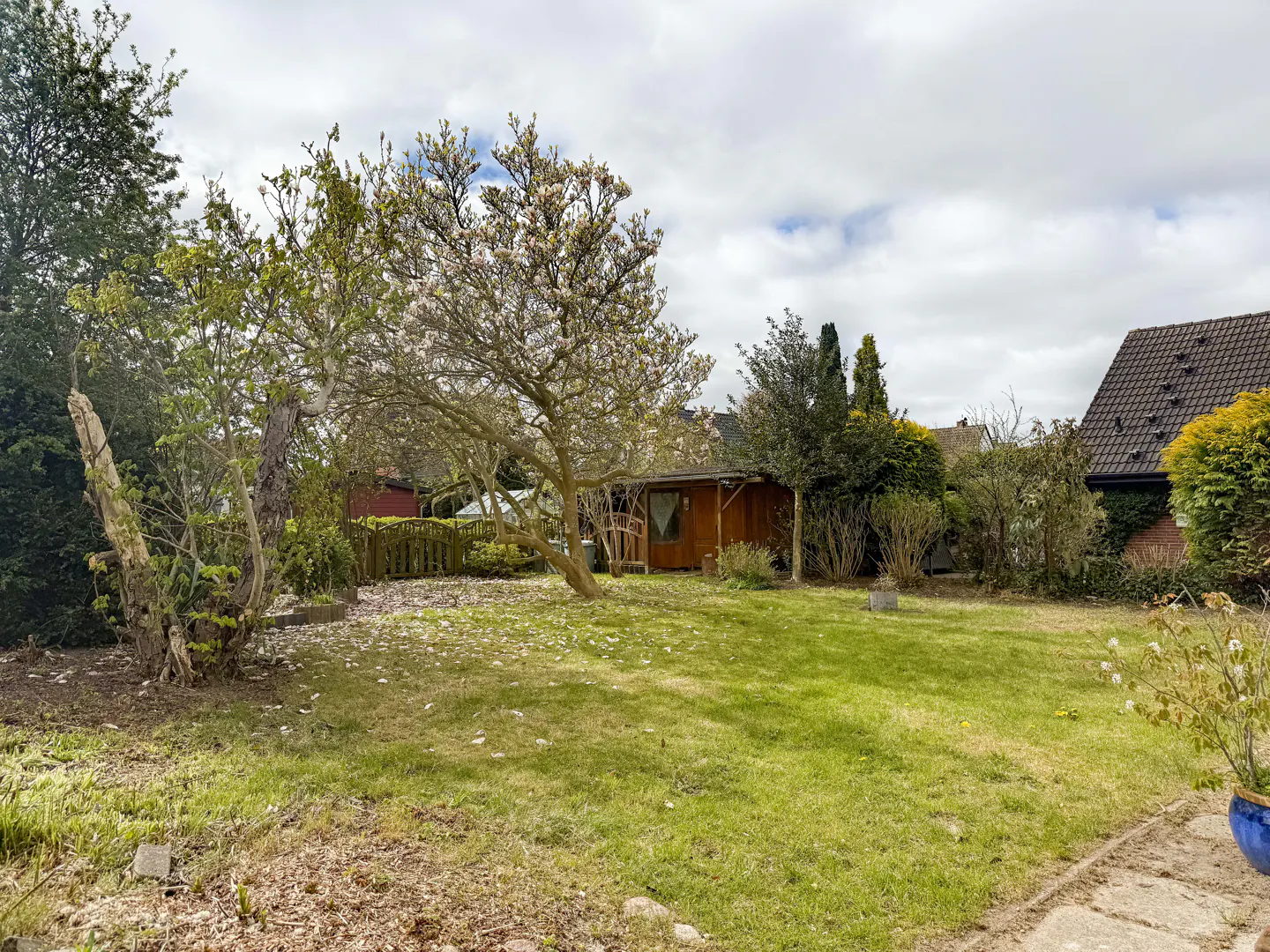 A grassy backyard with a blooming tree, a wooden shed, and a house roof under a cloudy sky.