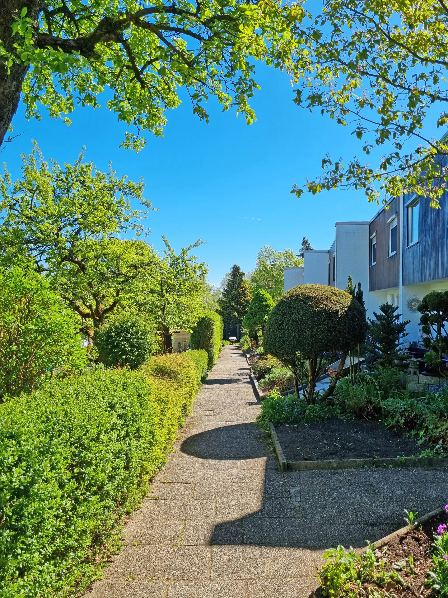 Stone path leads to modern townhouses under a blue sky. Green trees and manicured hedges line the walkway.
