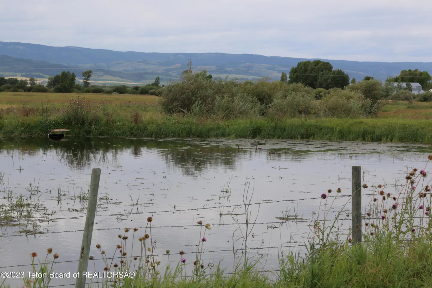 Scenic view of a pond with lily pads, framed by a barbed wire fence and wildflowers, with mountains in the background.