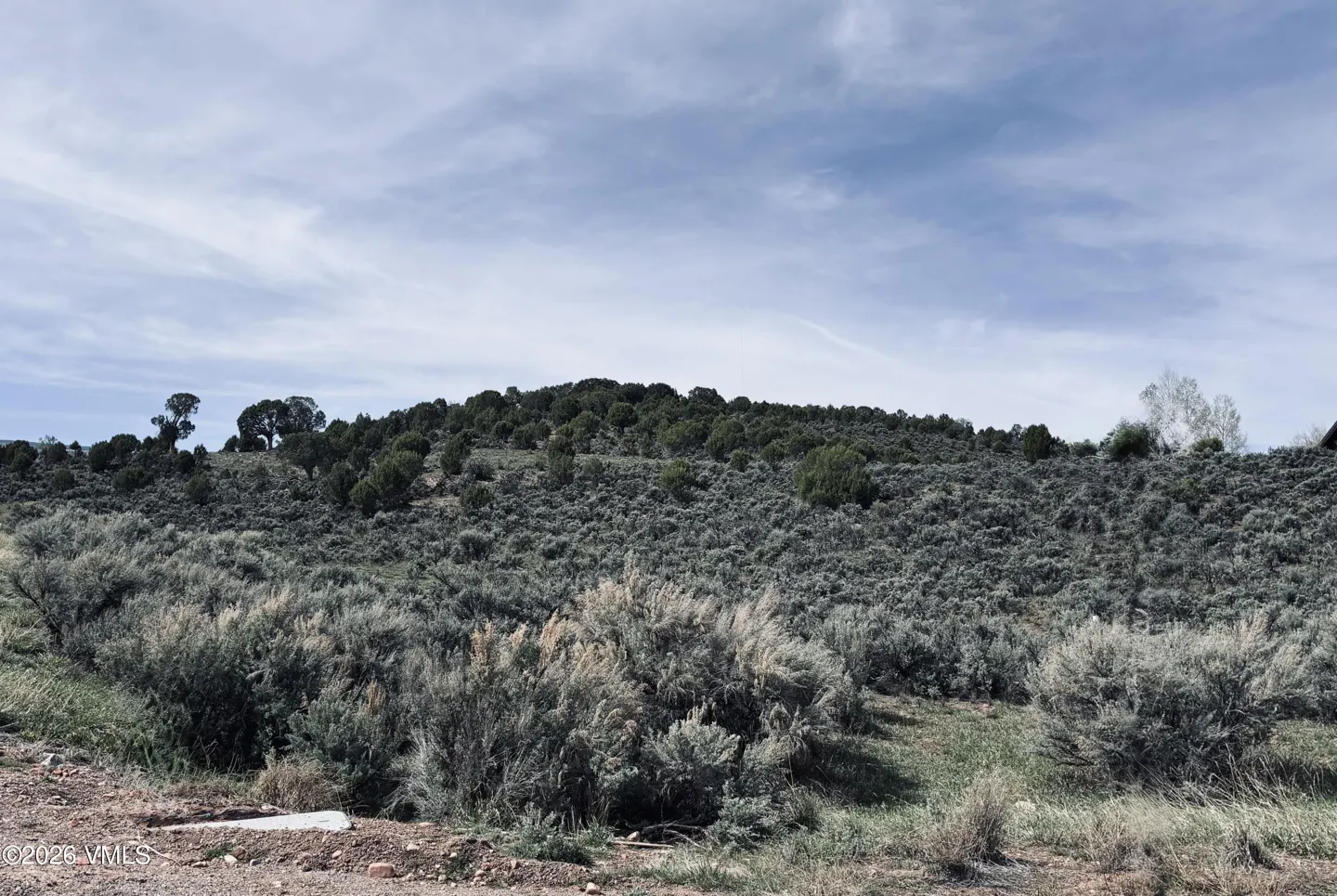 Land with sagebrush and trees under a cloudy sky. The sagebrush is gray-green and covers the hillside.