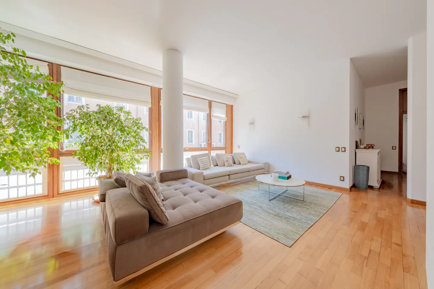 Bright living room with wood floors, large windows, and two sofas. A round white table sits on a blue rug. Green plants are by the windows.