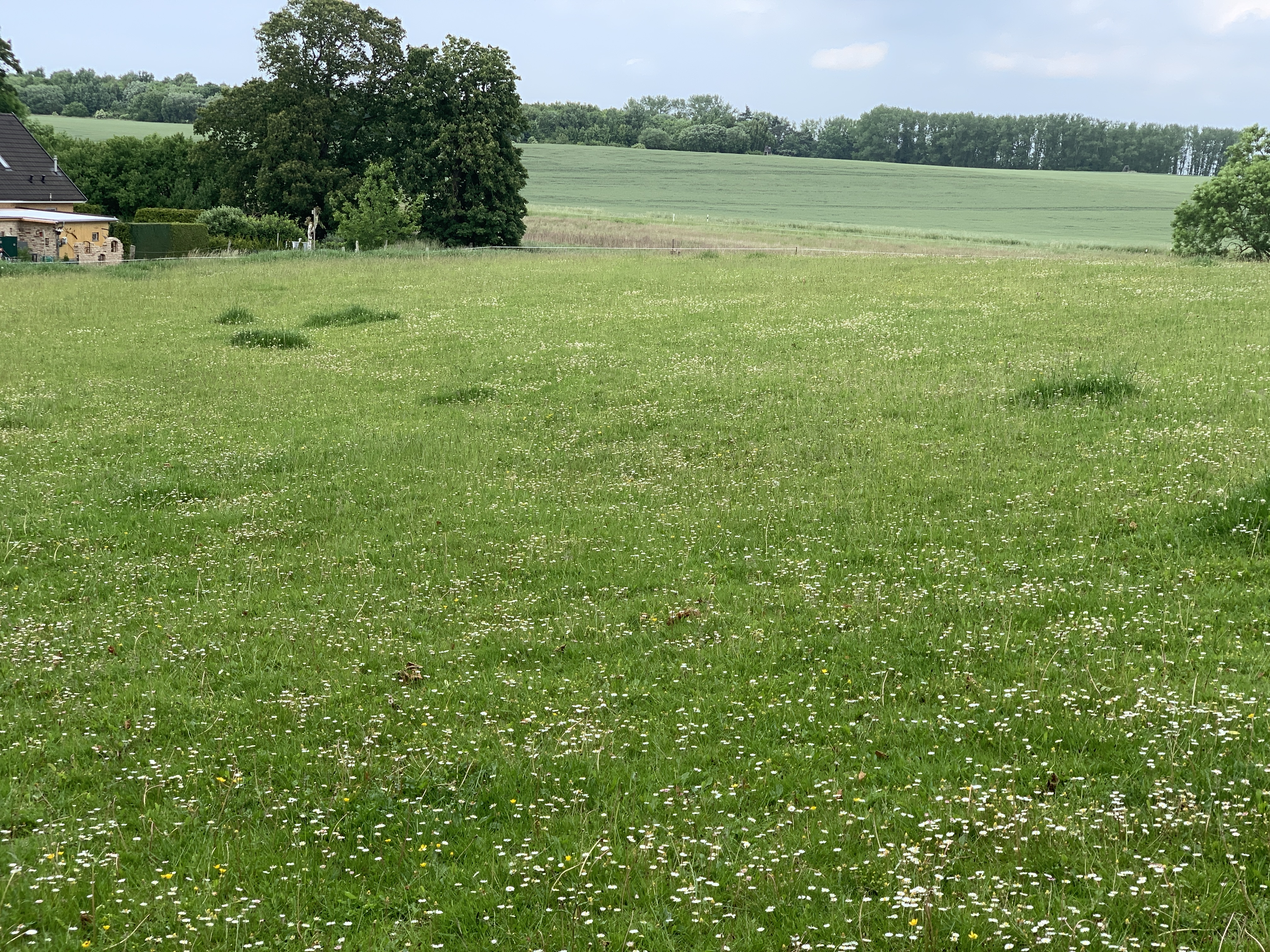 Baugrundstücke in ruhiger Lage zwischen Ribnitz-Damgarten und Marlow