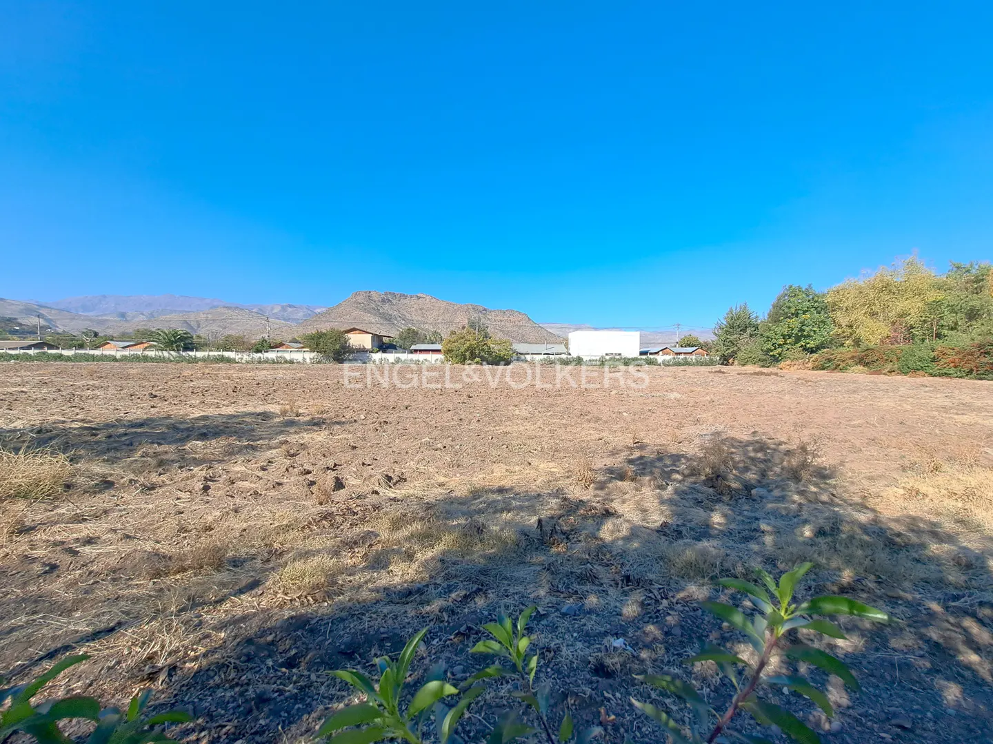 Vacant land with dry grass under a clear blue sky, mountains in the background, and some trees on the right.