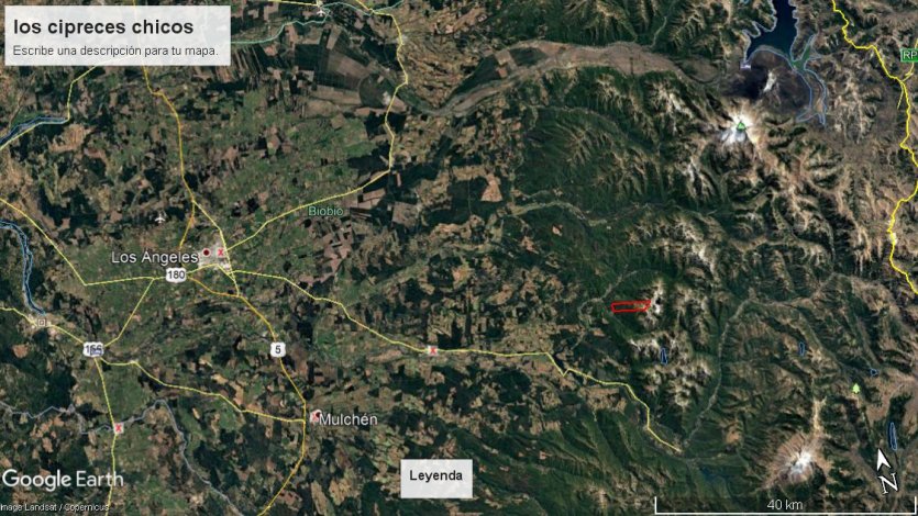 Aerial view of Los Cipreces Chicos, Chile, showing green forests, mountains, and a red-outlined area. Roads connect Los Angeles, Biobio, and Mulchen.