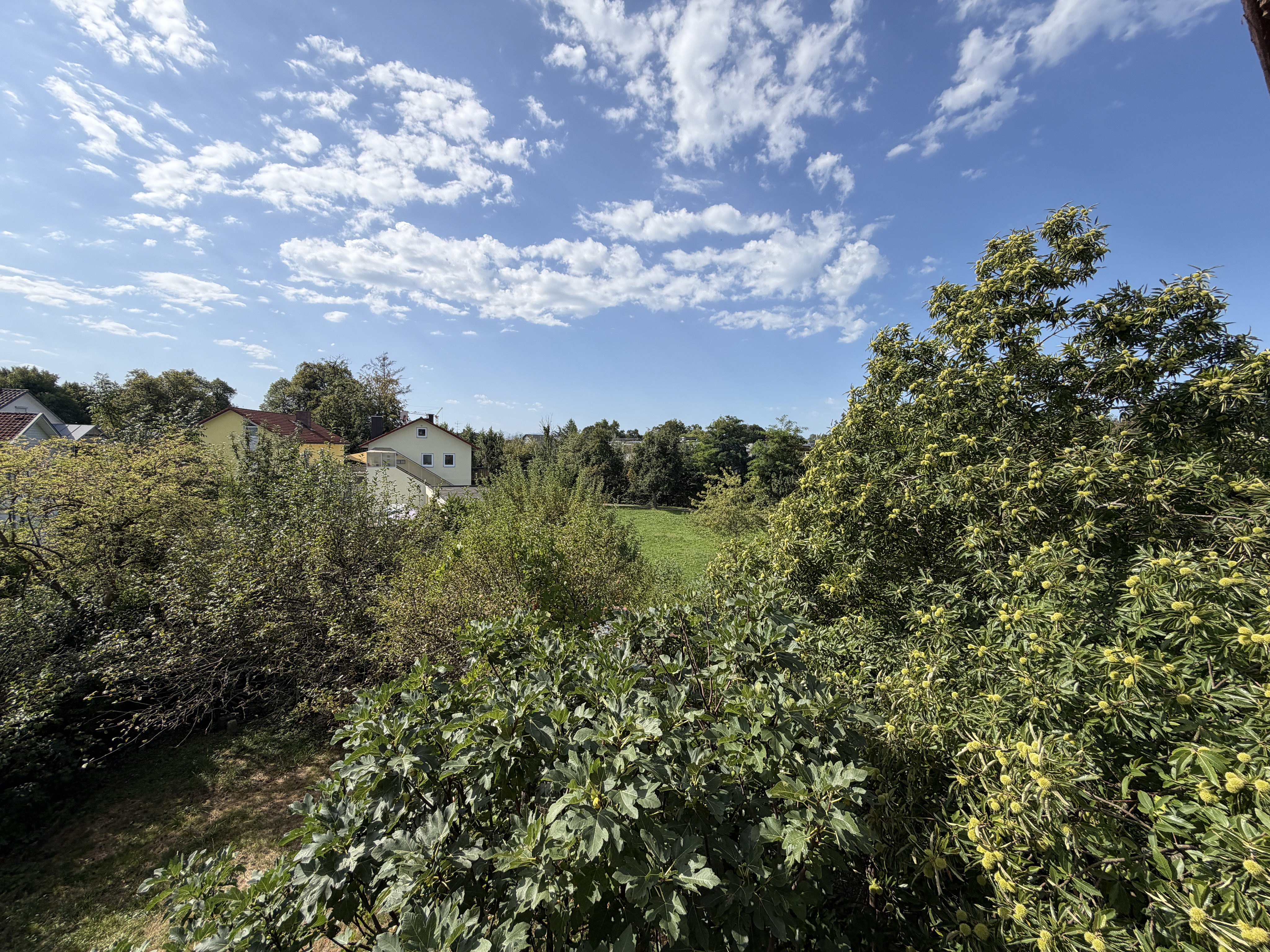 Ruhig und mit idyllischem Ausblick – Fantastisches Baugrundstück