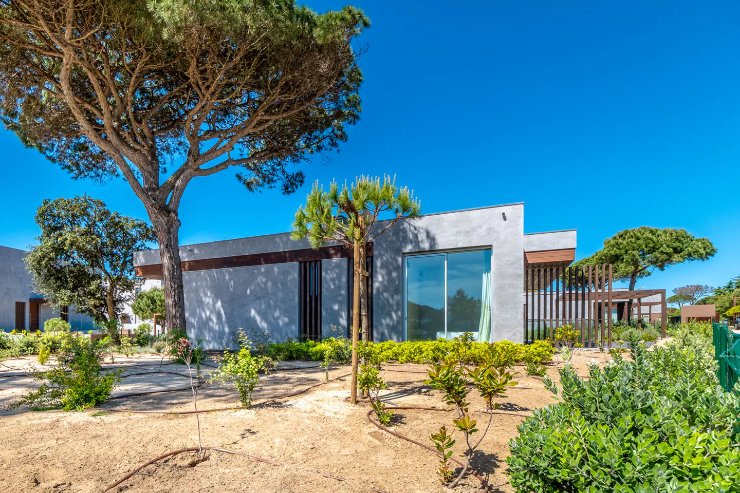 Modern gray house with large windows and wood accents, surrounded by trees and landscaping under a clear blue sky.