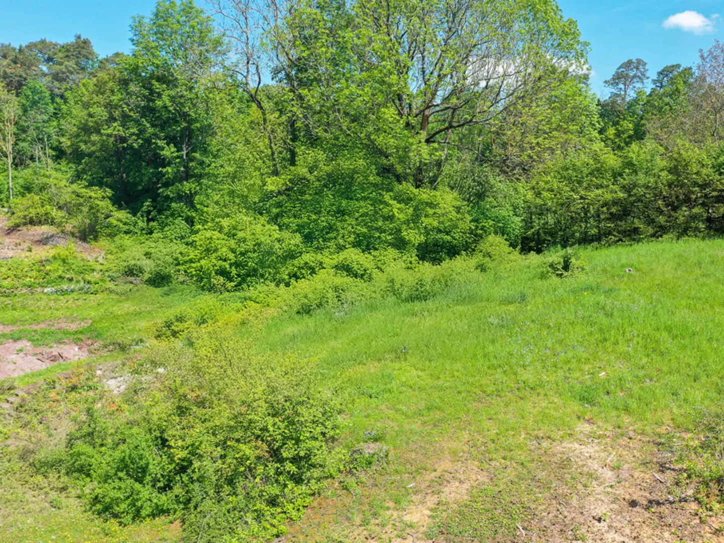 A vacant lot with green grass and trees under a blue sky.