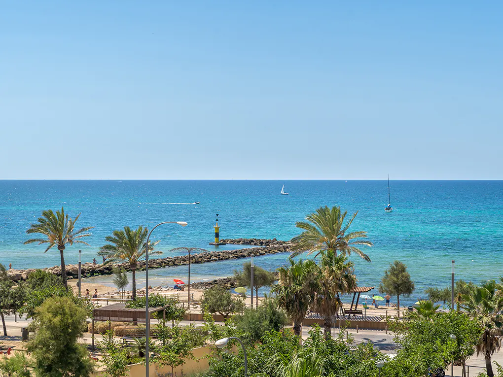 Beach view with palm trees, a stone pier, and a black and yellow lighthouse under a clear blue sky. Sailboats are visible on the turquoise water.